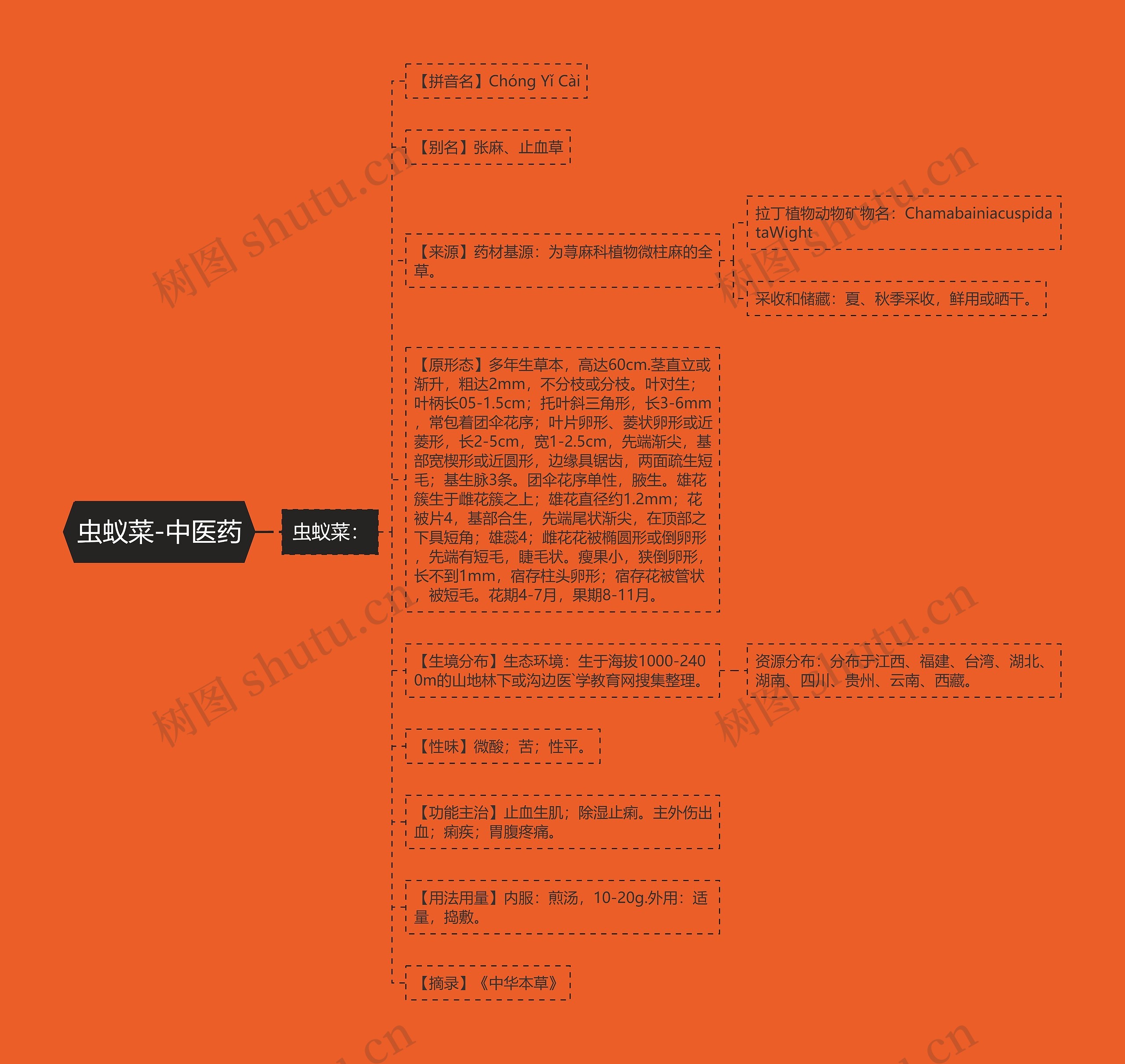 虫蚁菜-中医药 虫蚁菜-中医药