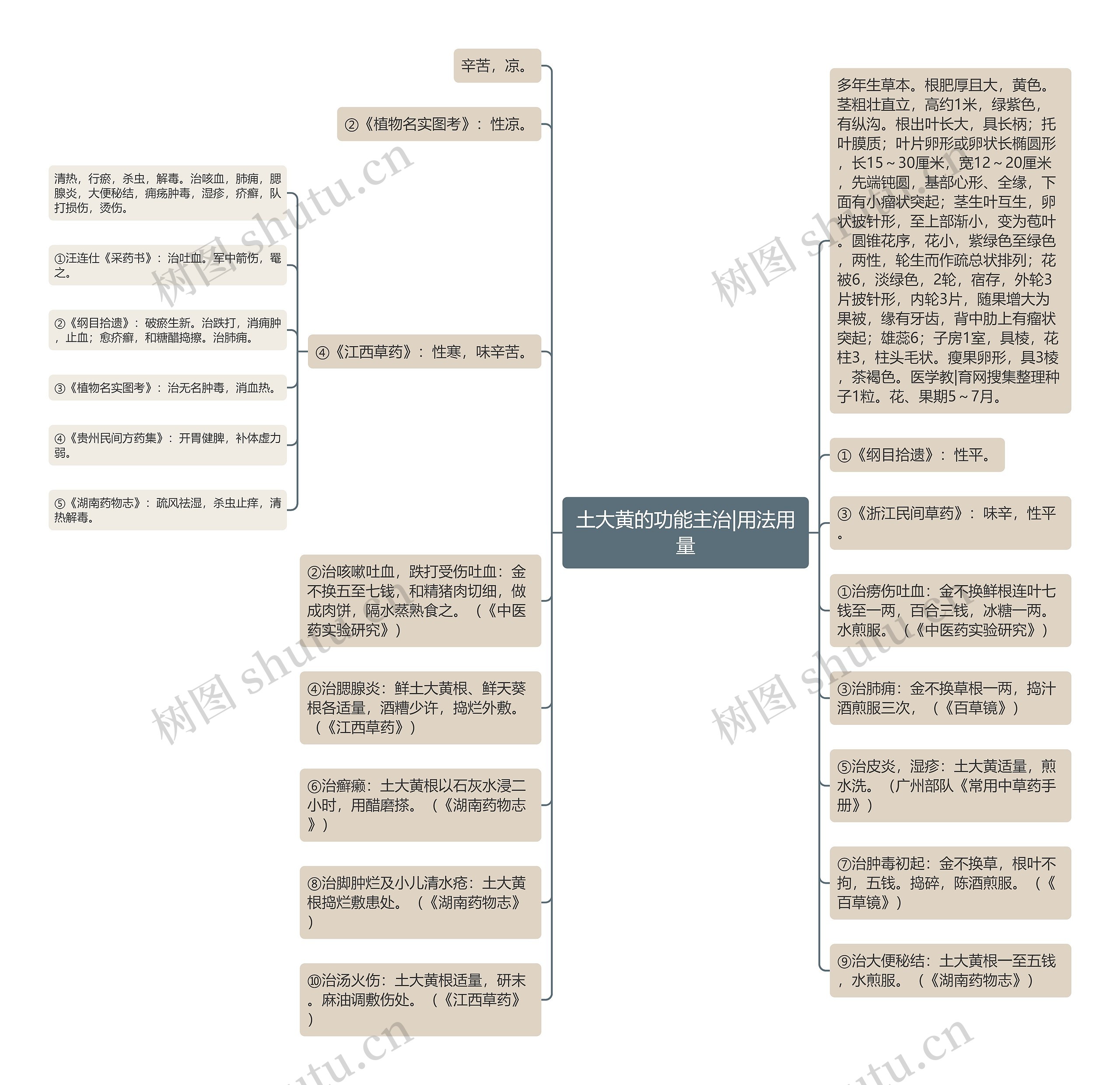 土大黄的功能主治|用法用量