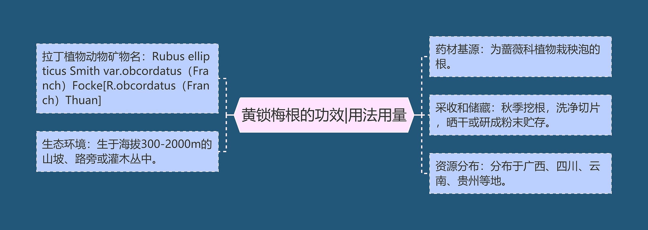 黄锁梅根的功效|用法用量思维导图