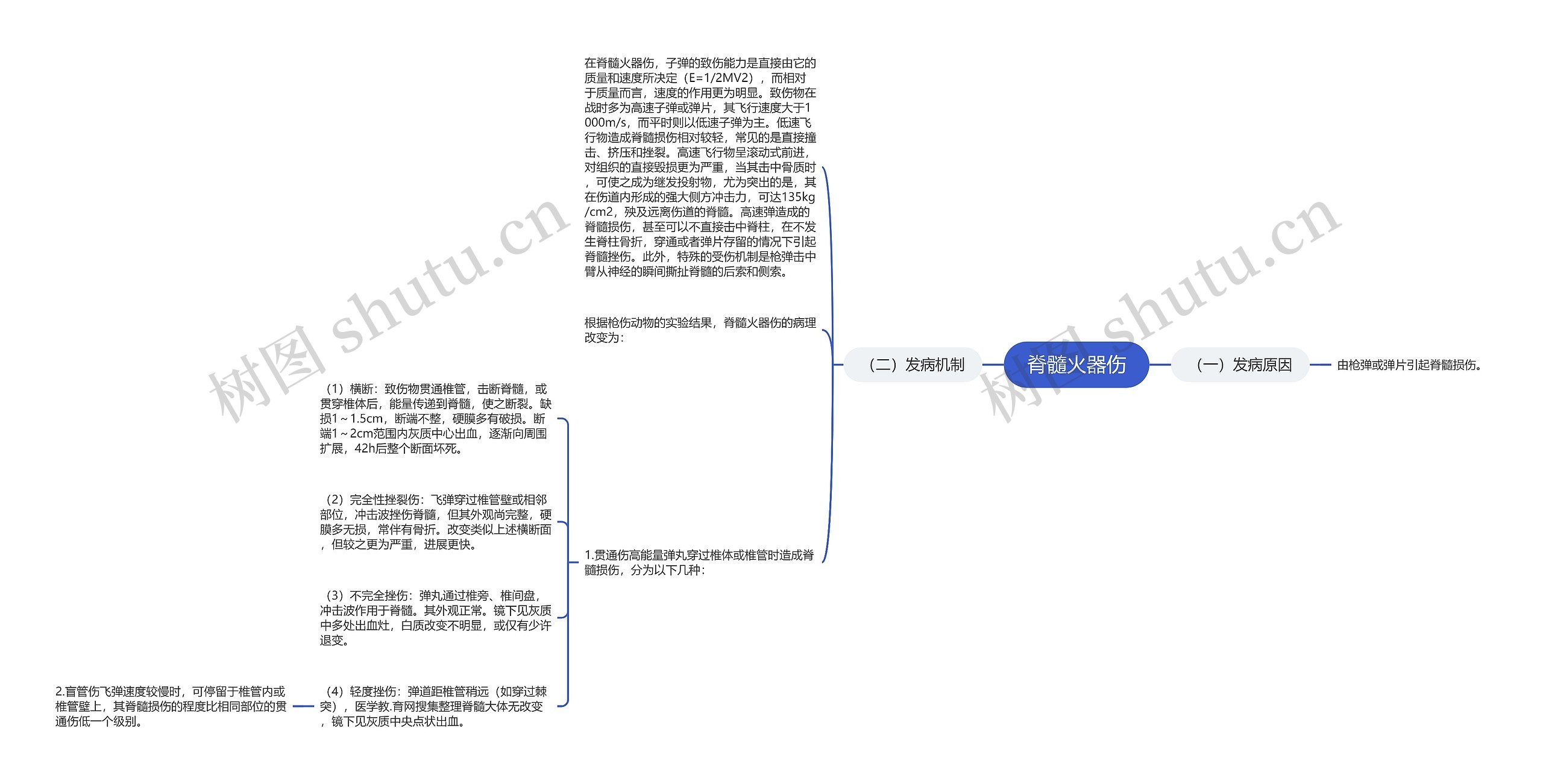 脊髓火器伤思维导图