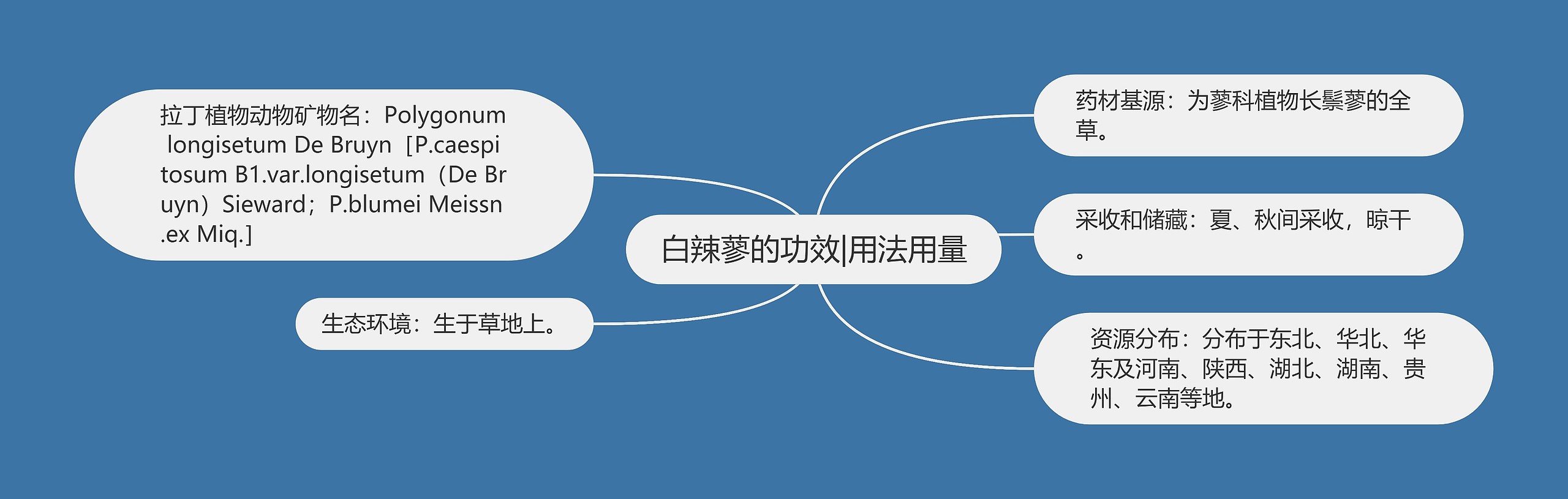 白辣蓼的功效|用法用量 白辣蓼的功效|用法用量