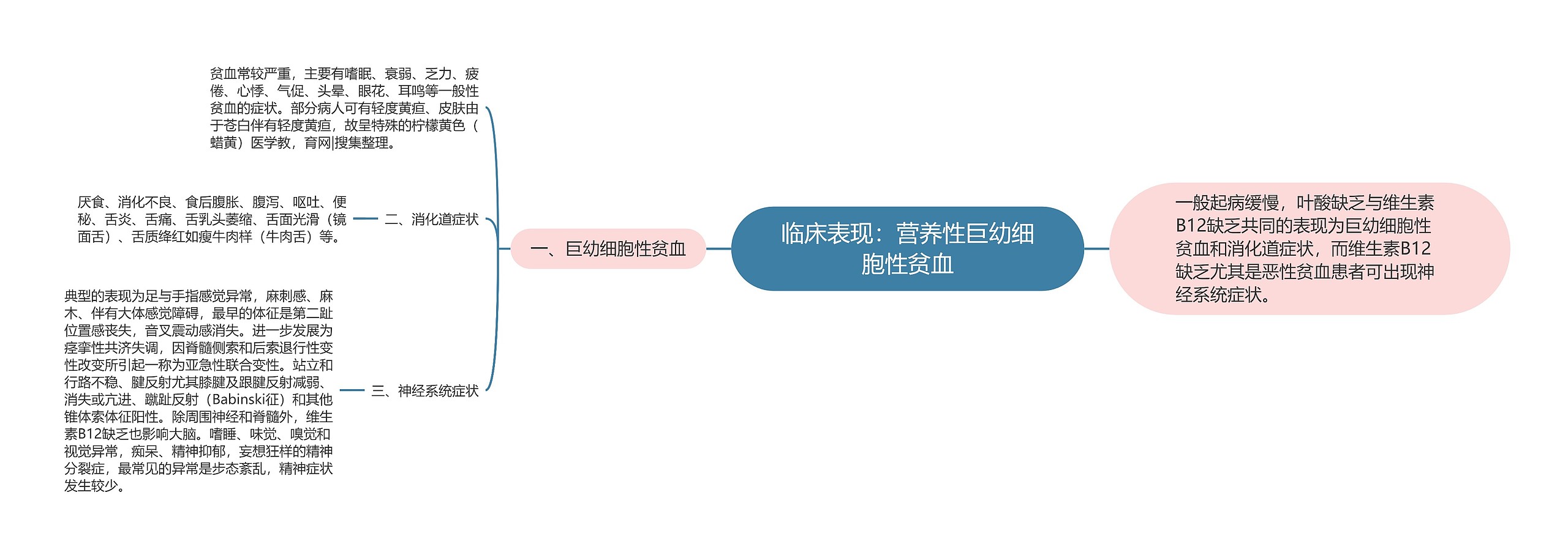 临床表现:营养性巨幼细胞性贫血 临床表现:营养性巨幼细胞性贫血