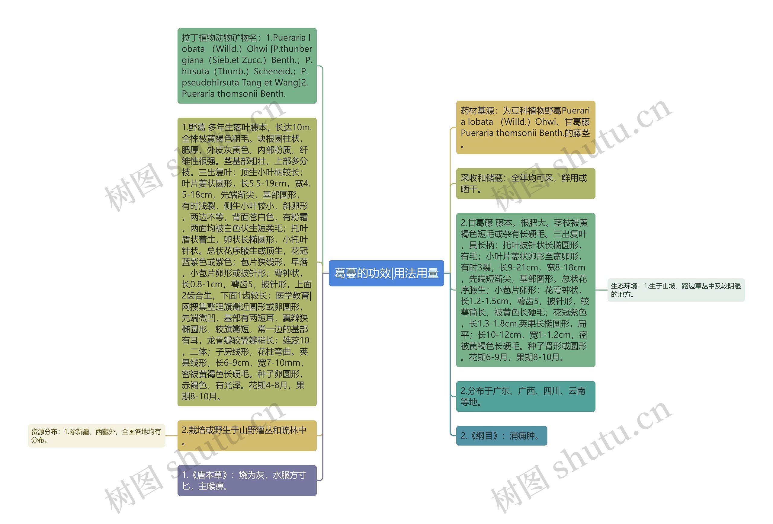 葛蔓的功效|用法用量思维导图