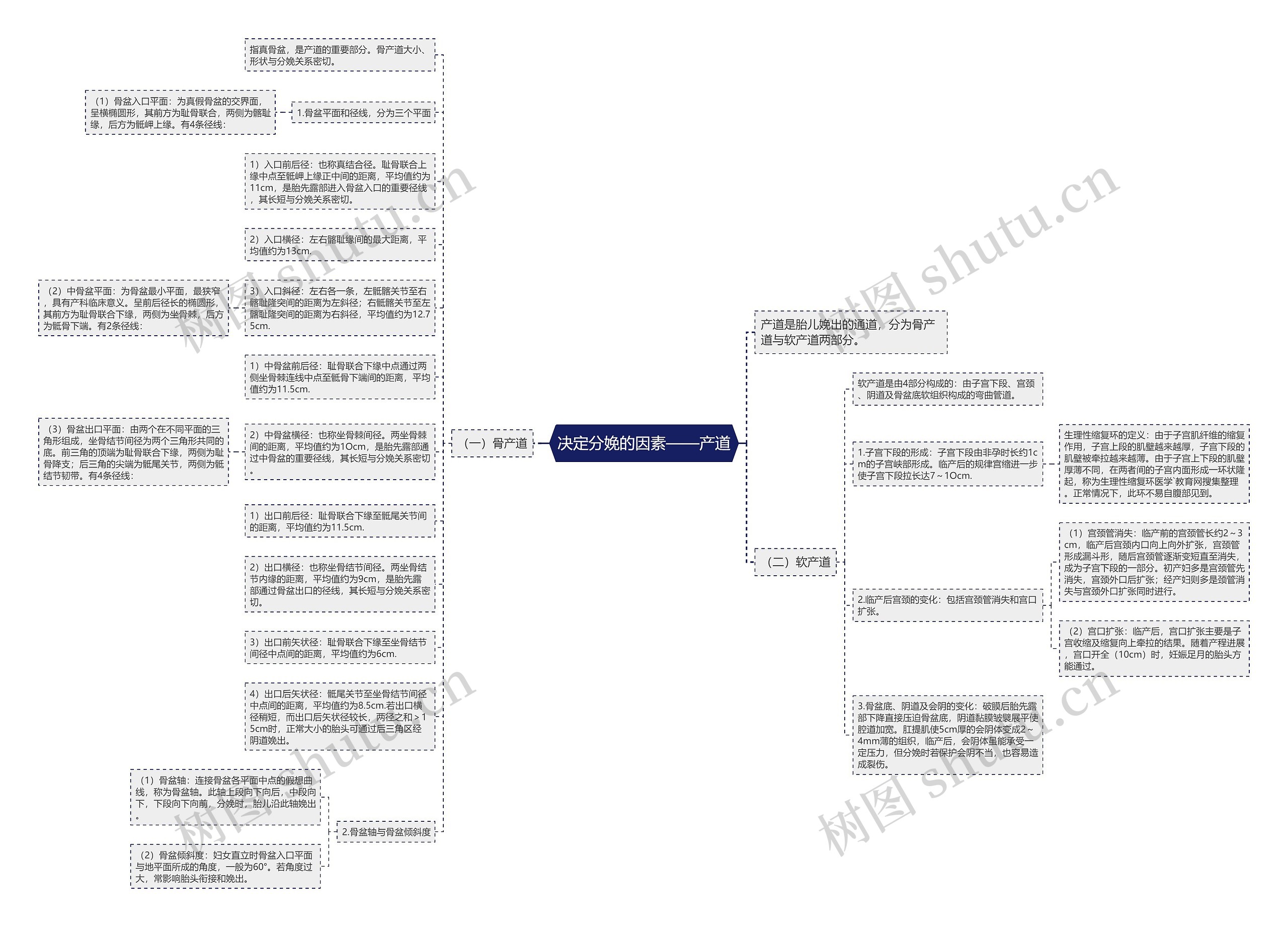决定分娩的因素——产道思维导图