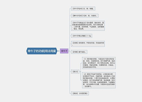 牵牛子的功能|用法用量