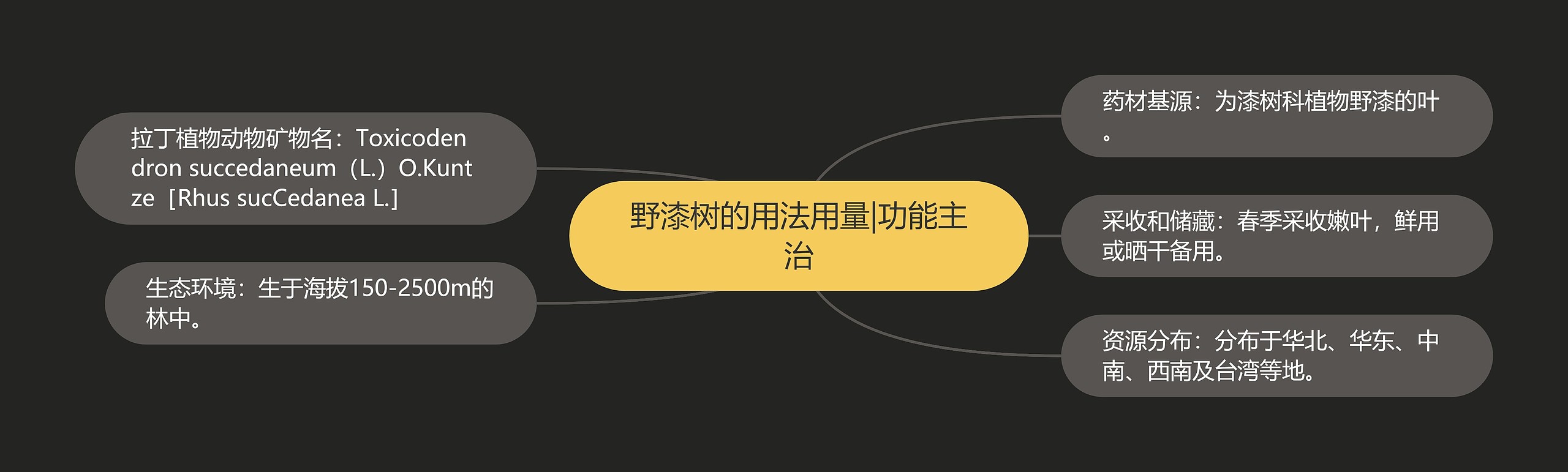 野漆树的用法用量|功能主治 野漆树的用法用量|功能主治