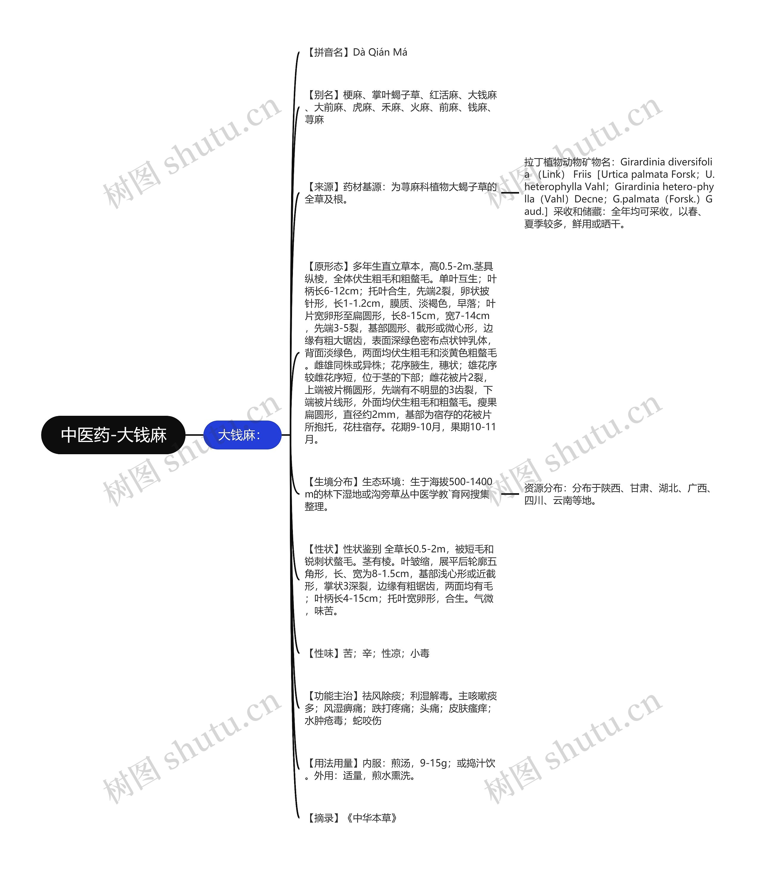 中医药-大钱麻思维导图