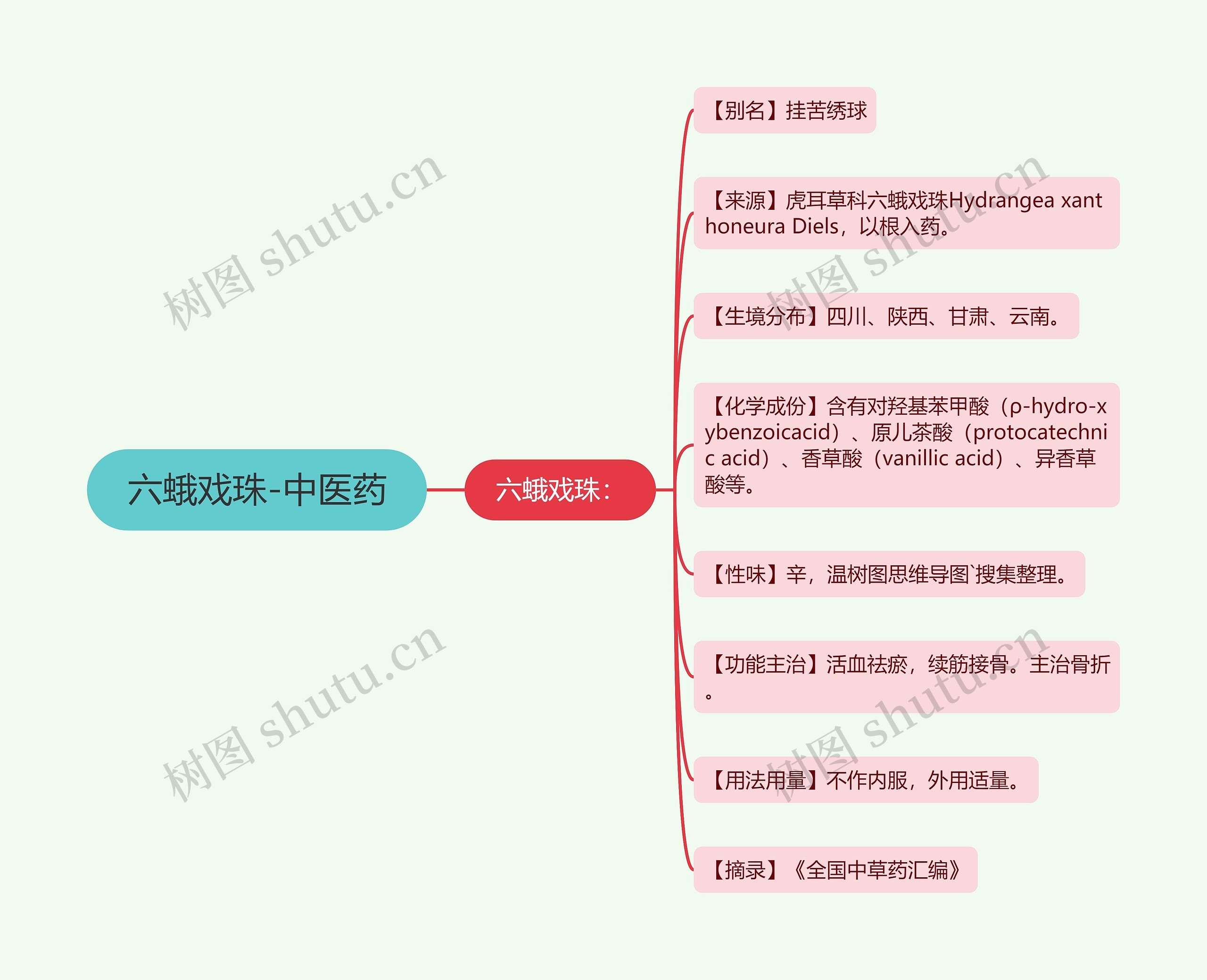 六蛾戏珠-中医药思维导图