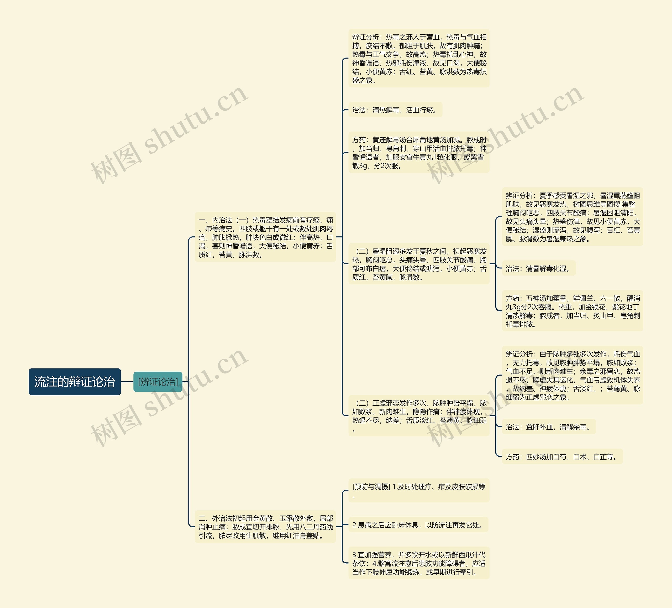 流注的辩证论治思维导图