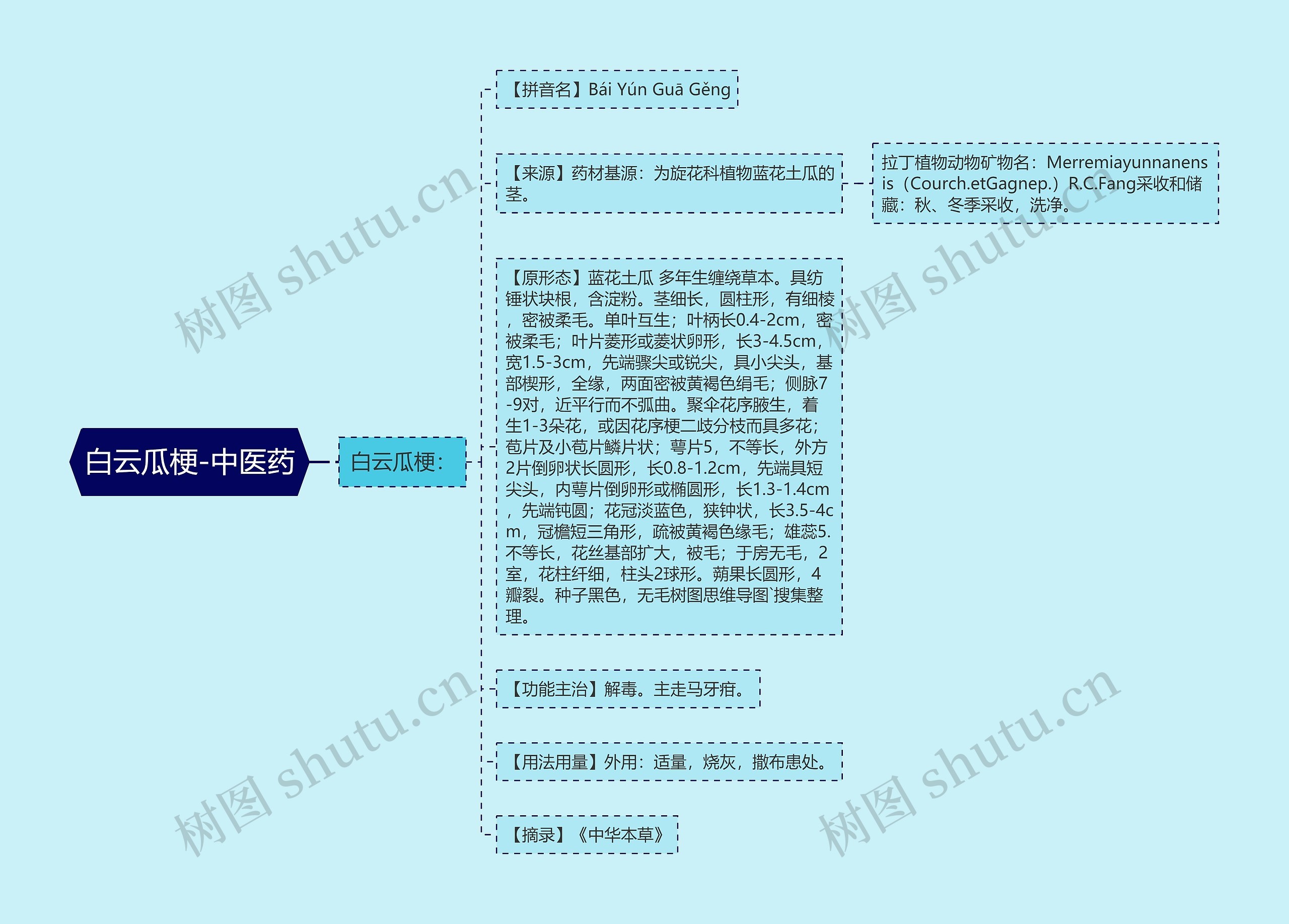 白云瓜梗-中医药思维导图