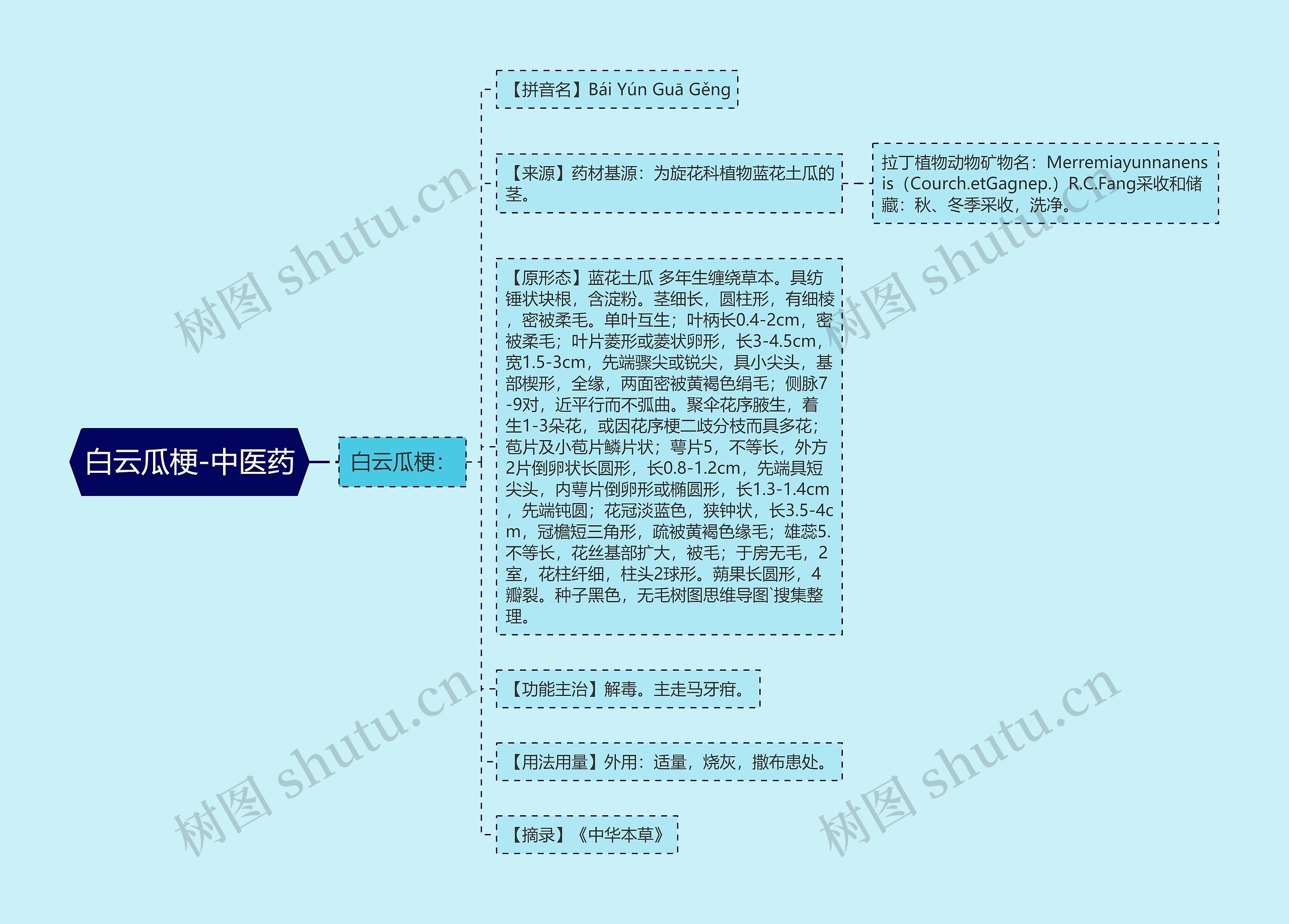 白云瓜梗-中医药 白云瓜梗-中医药