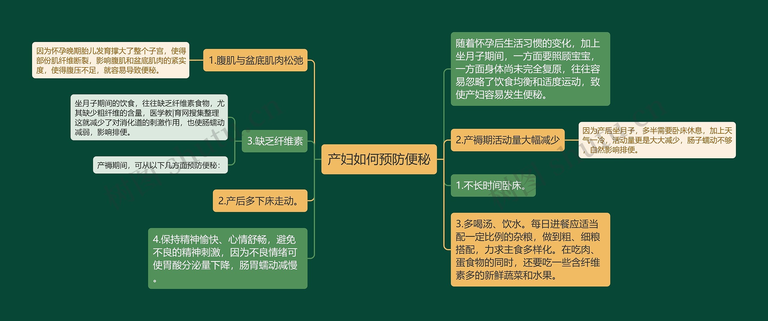 产妇如何预防便秘思维导图