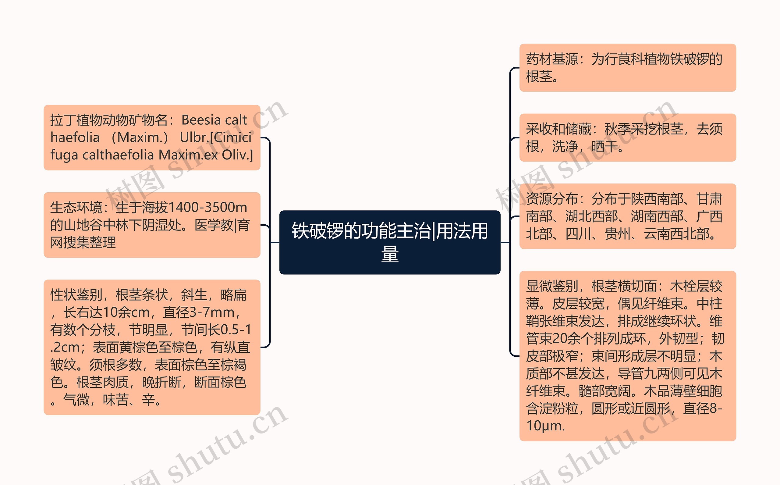 铁破锣的功能主治|用法用量