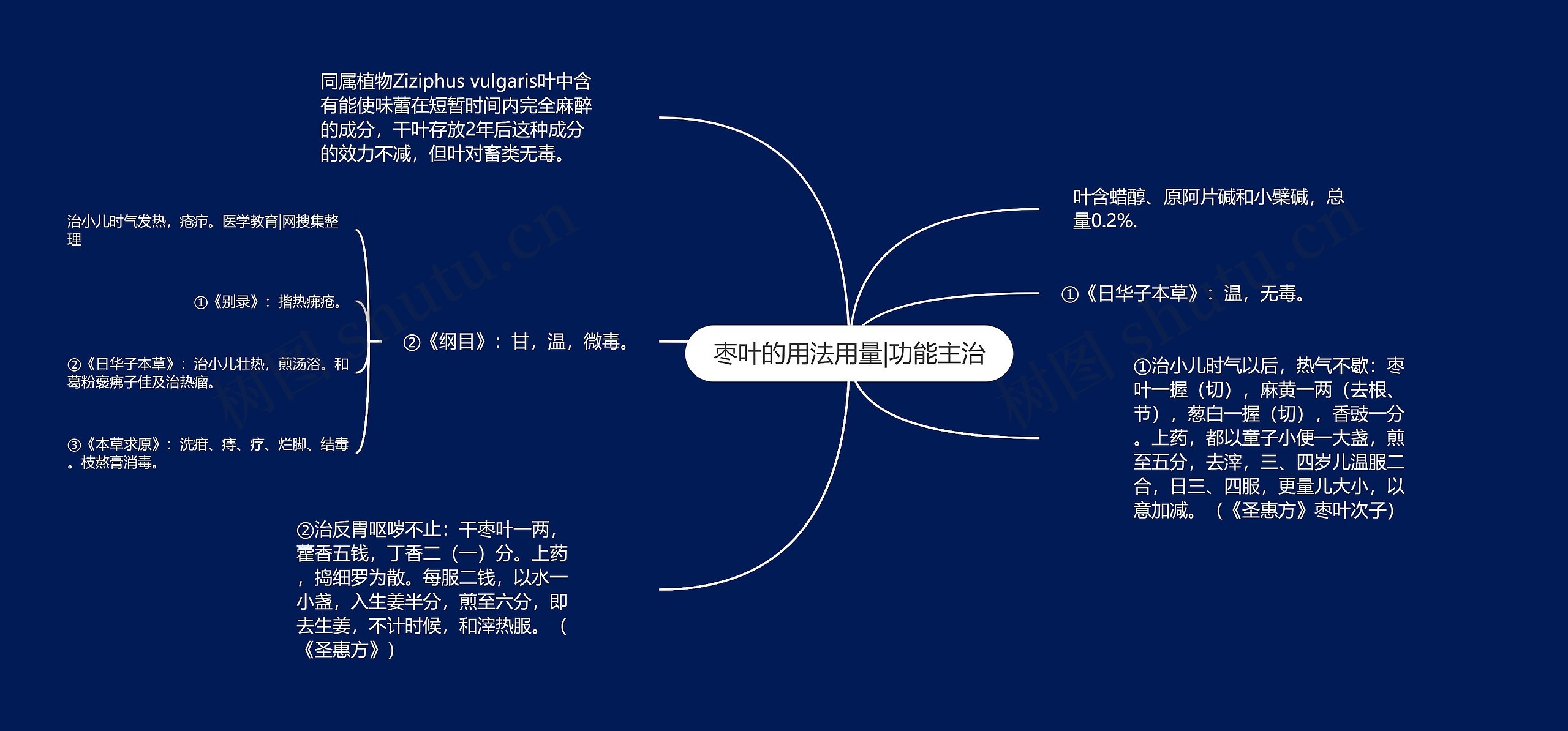 枣叶的用法用量|功能主治思维导图