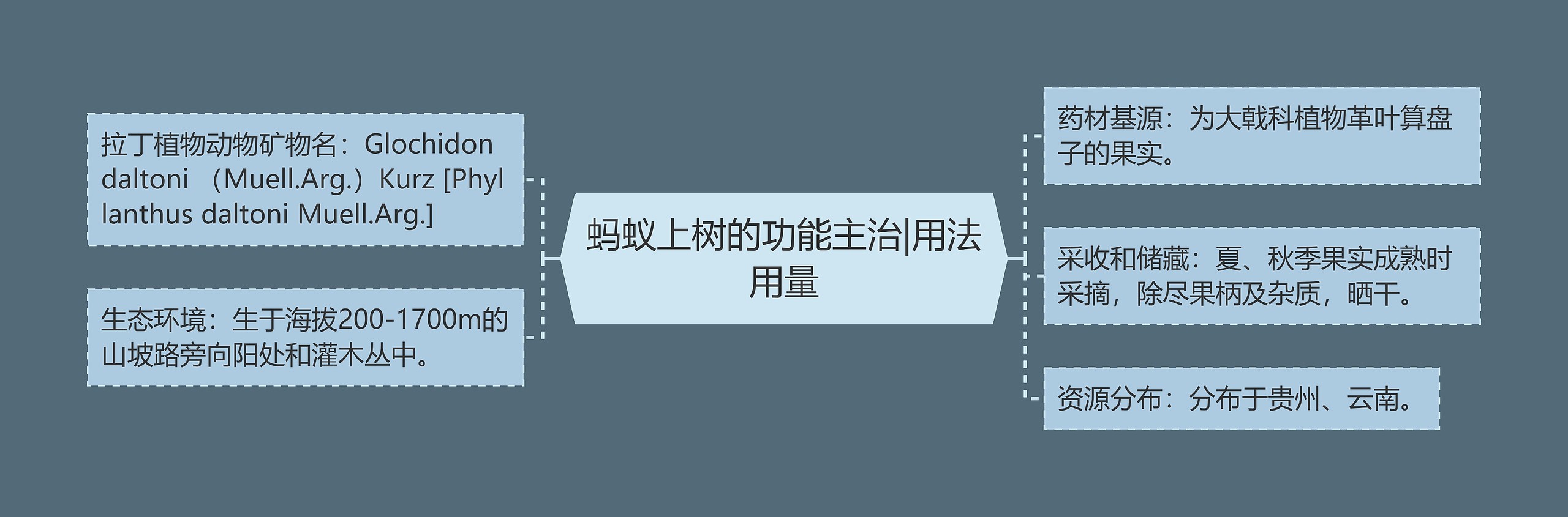 蚂蚁上树的功能主治|用法用量 蚂蚁上树的功能主治|用法用量