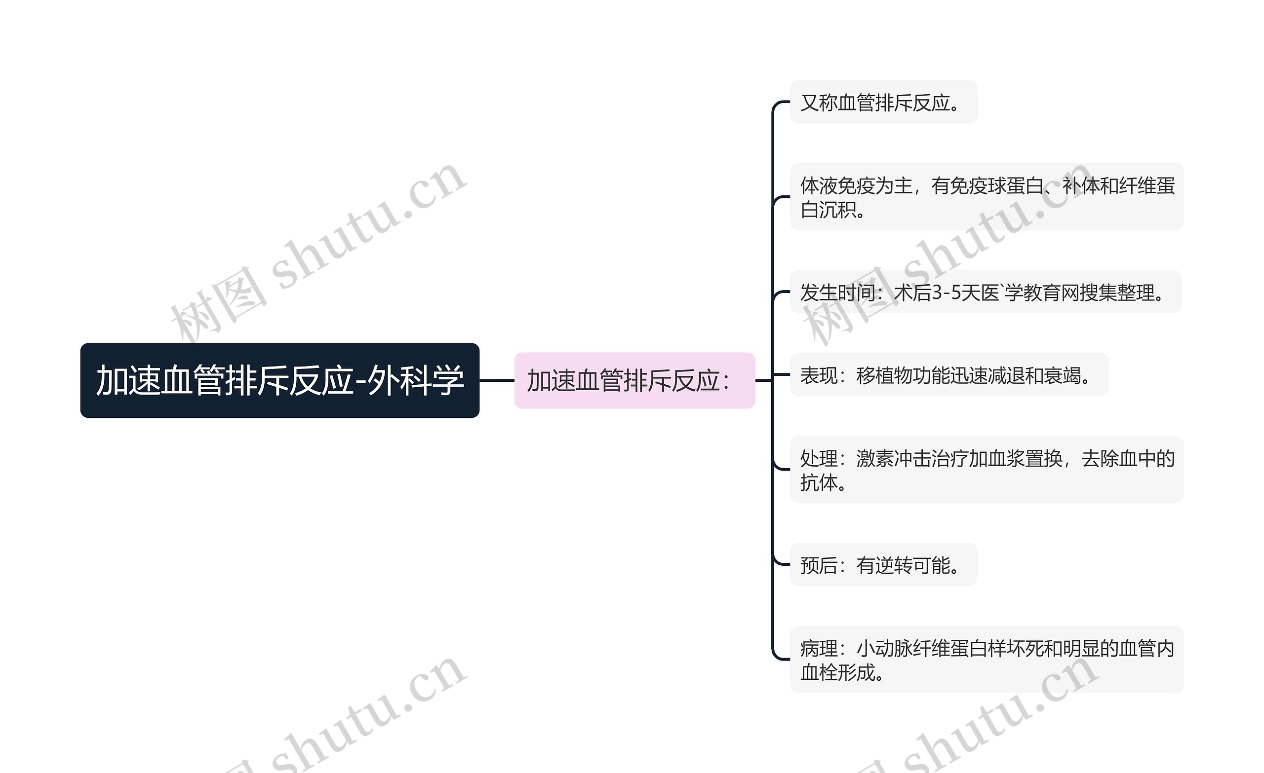 加速血管排斥反应-外科学思维导图