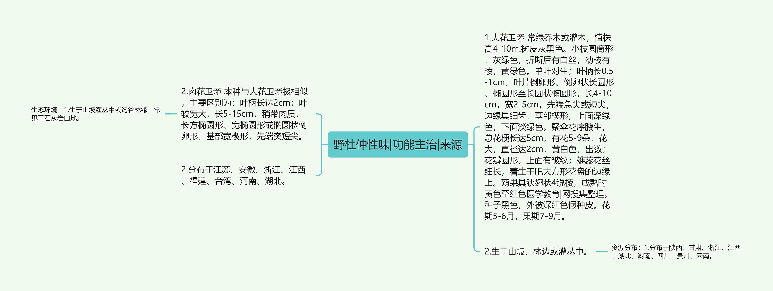 野杜仲性味|功能主治|来源