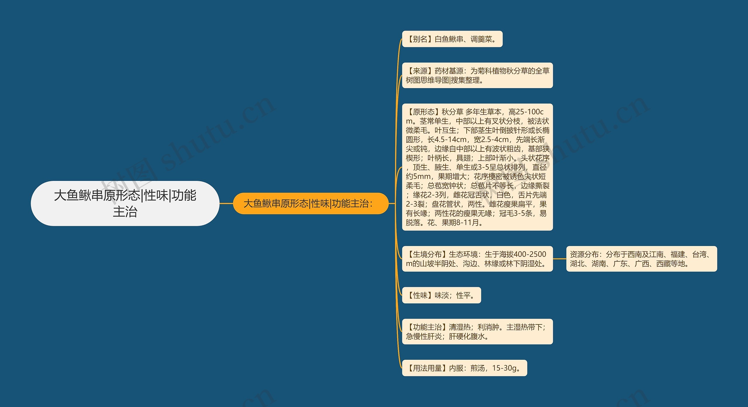 大鱼鳅串原形态|性味|功能主治思维导图