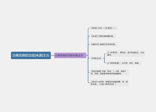 白菊花根的功能|来源|主治