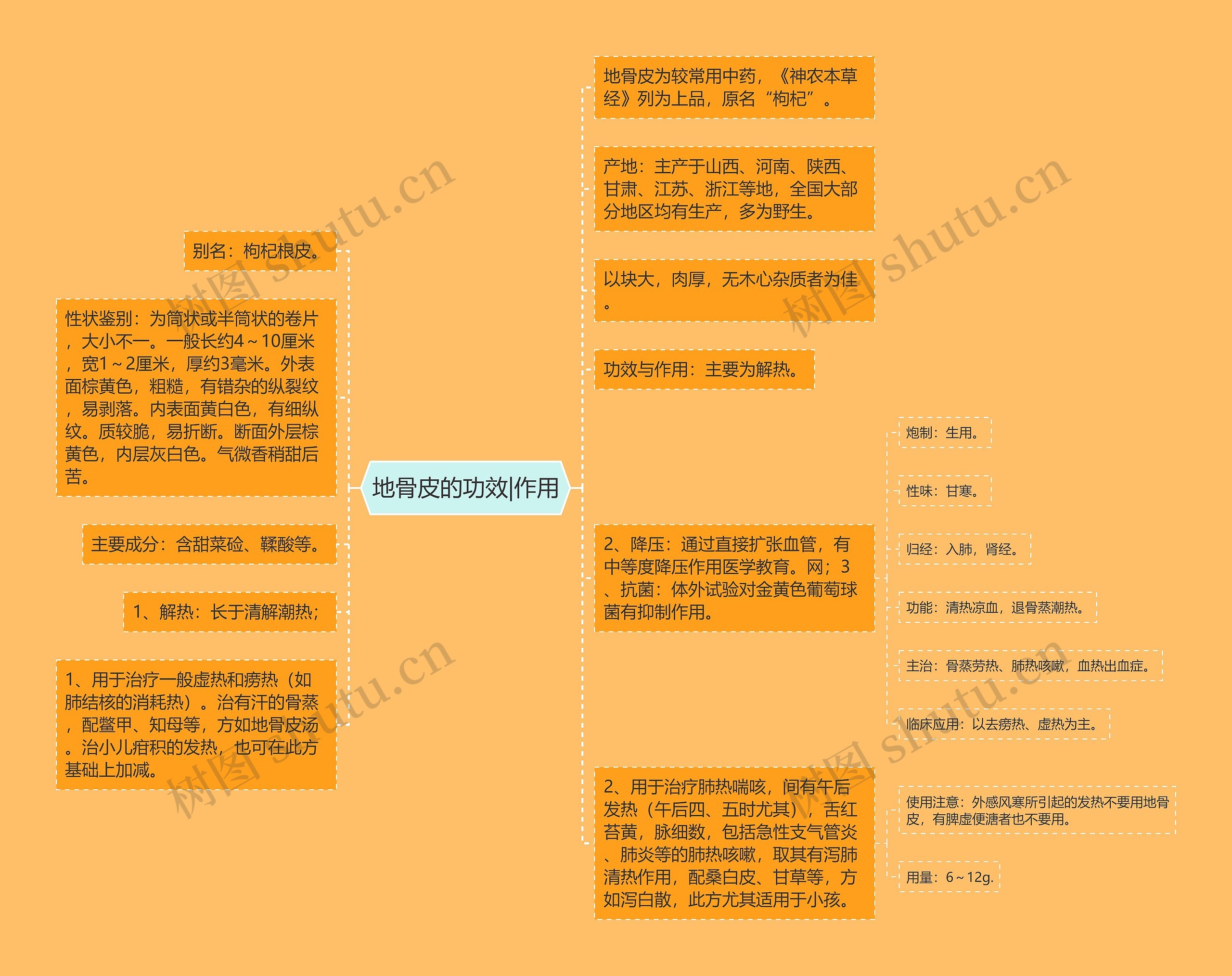 地骨皮的功效|作用思维导图