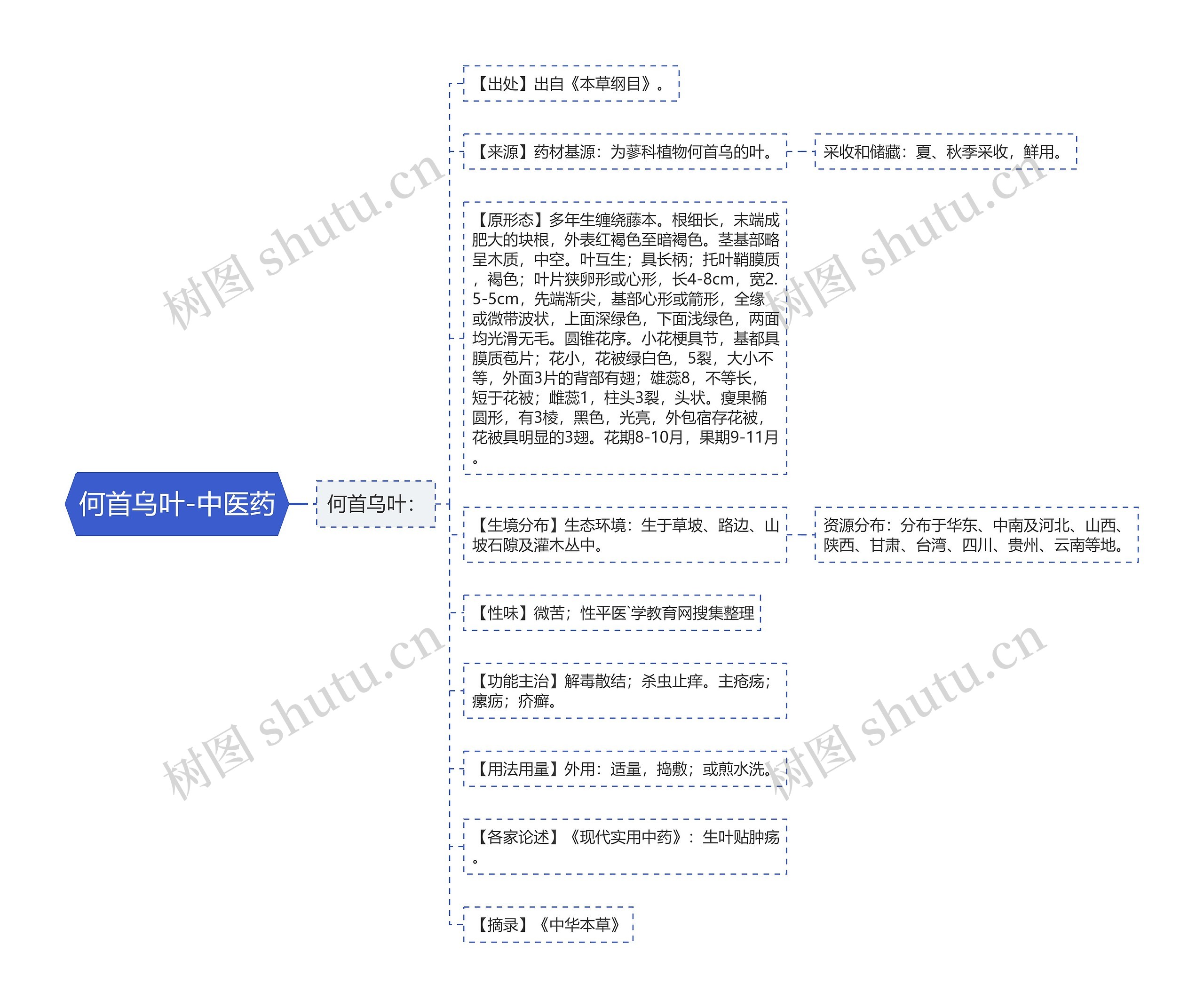 何首乌叶-中医药思维导图