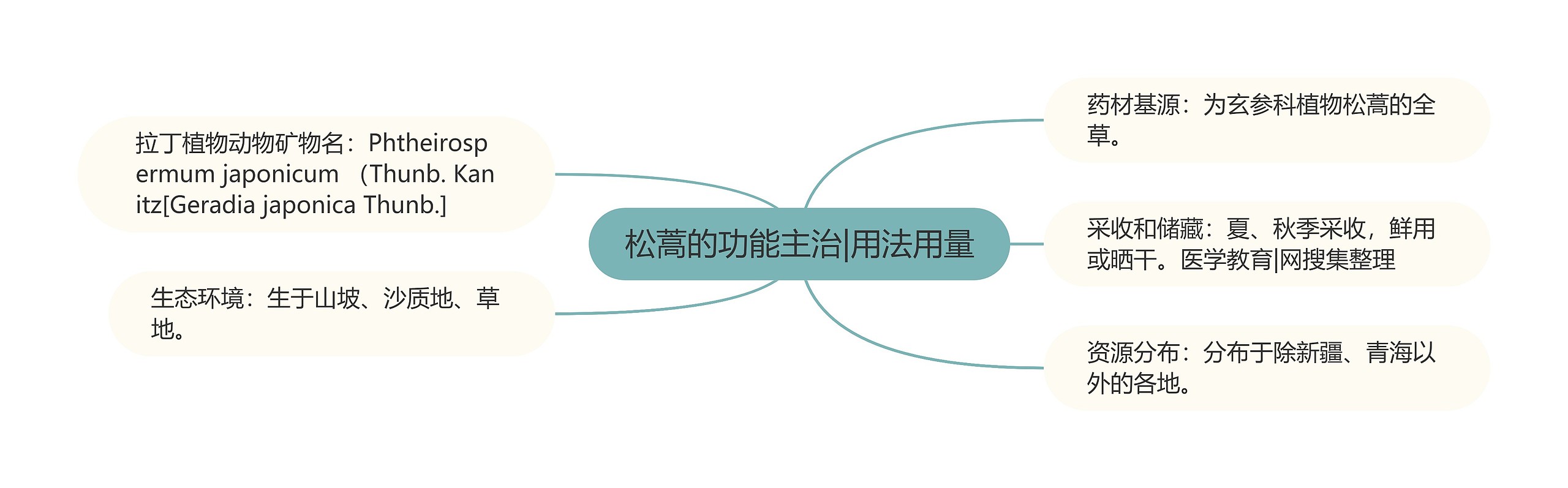 松蒿的功能主治|用法用量 松蒿的功能主治|用法用量