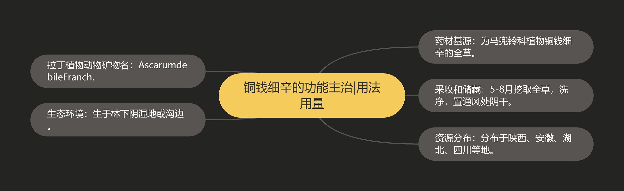 铜钱细辛的功能主治|用法用量 铜钱细辛的功能主治|用法用量