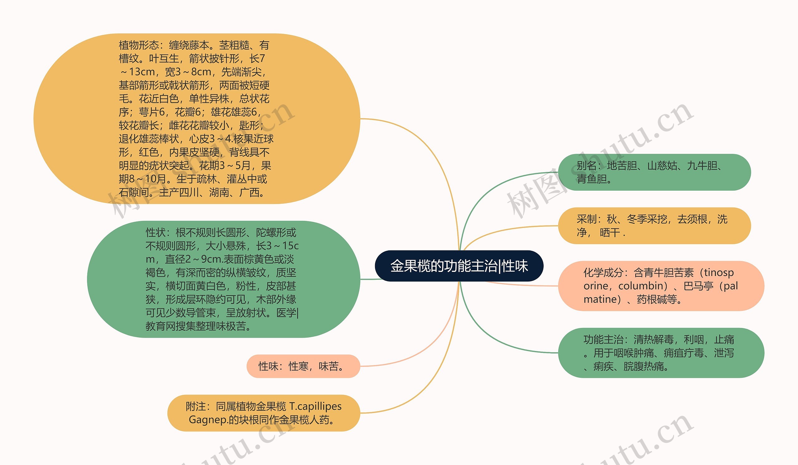 金果榄的功能主治|性味