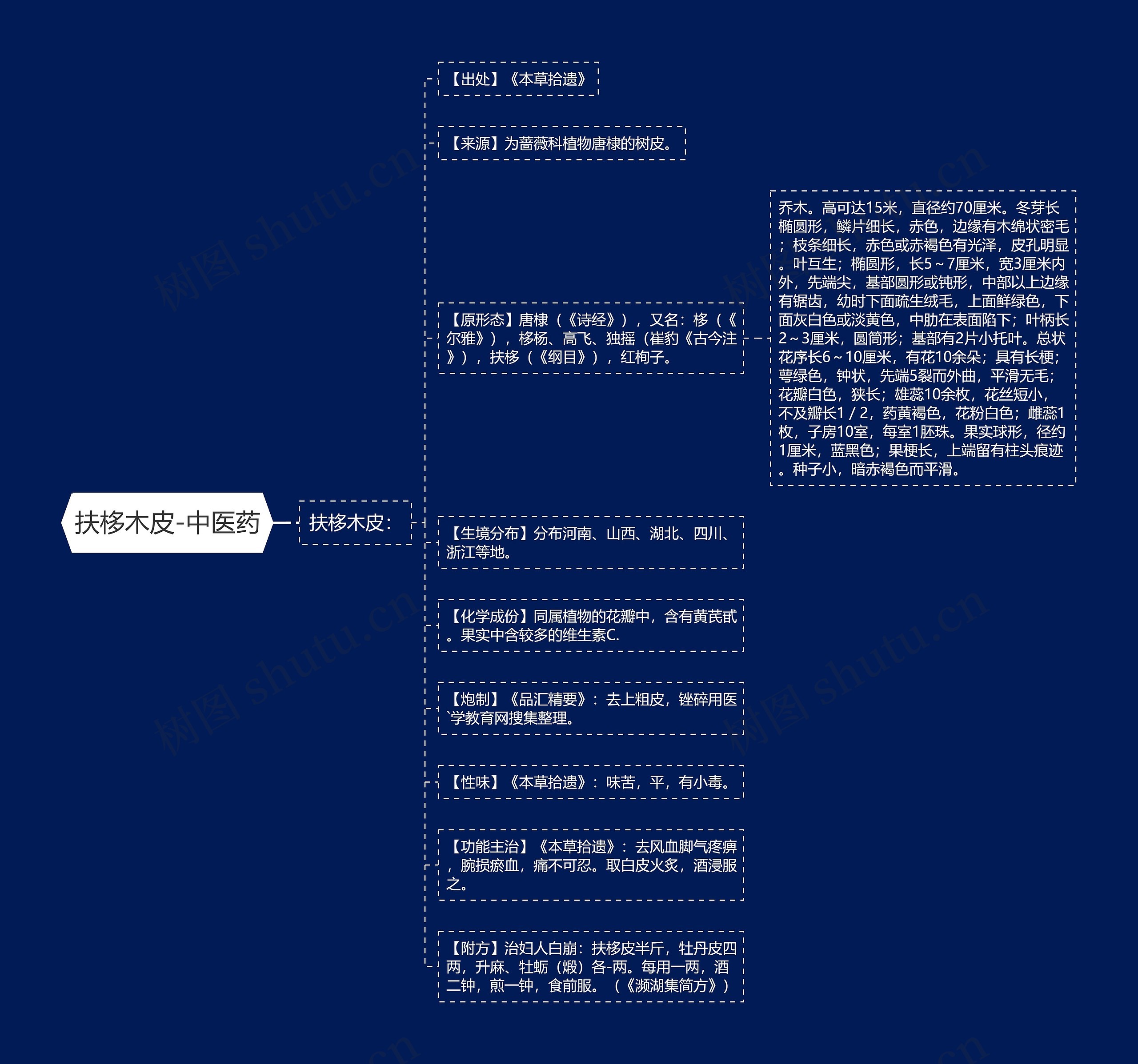 扶栘木皮-中医药思维导图