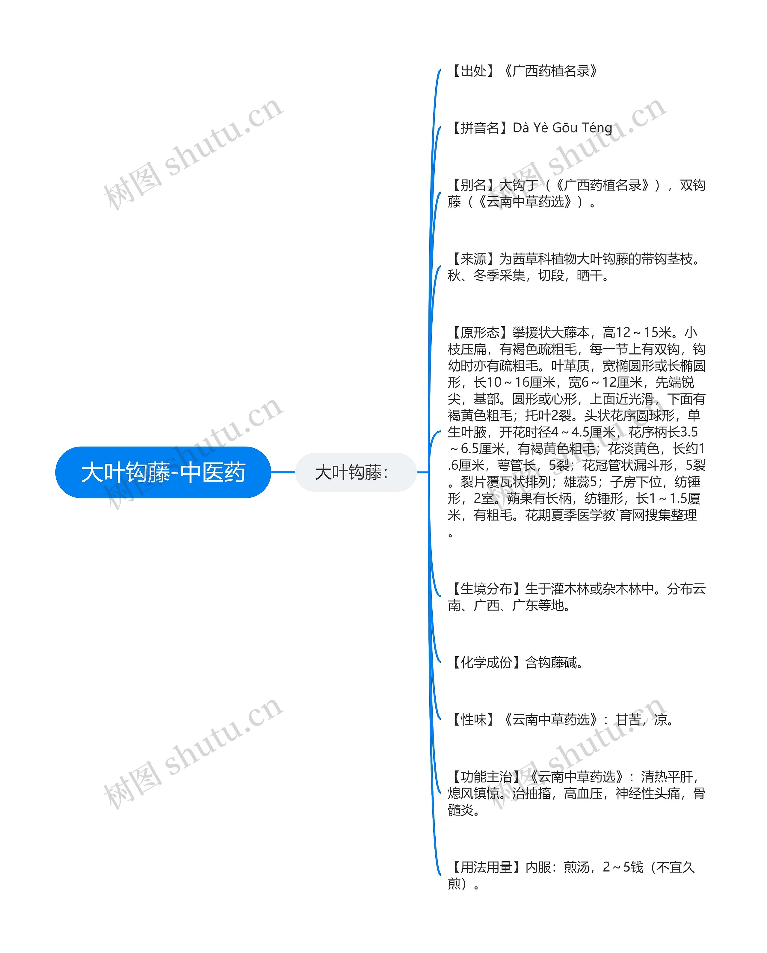 大叶钩藤-中医药思维导图