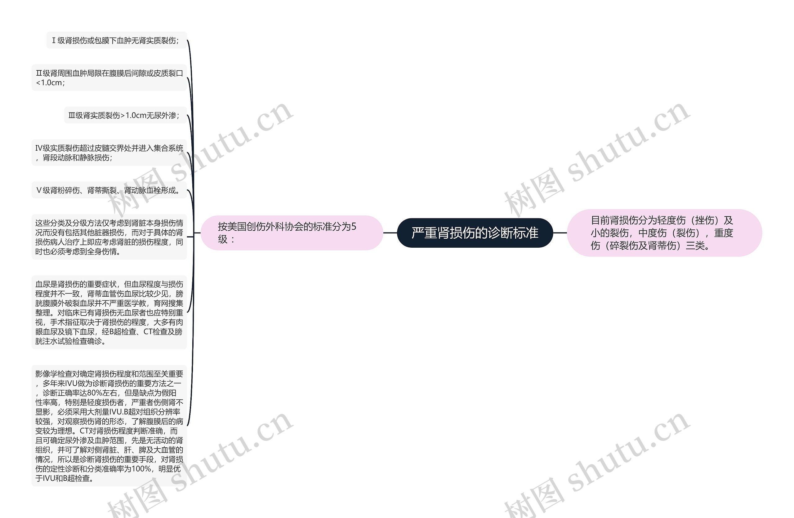 严重肾损伤的诊断标准