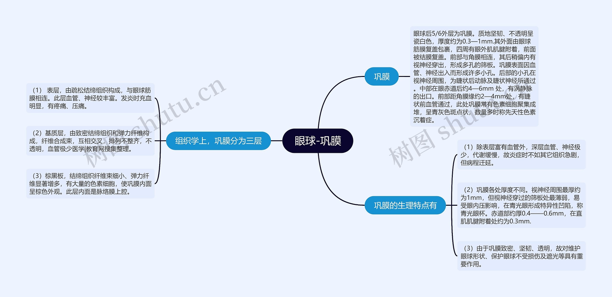 眼球-巩膜思维导图