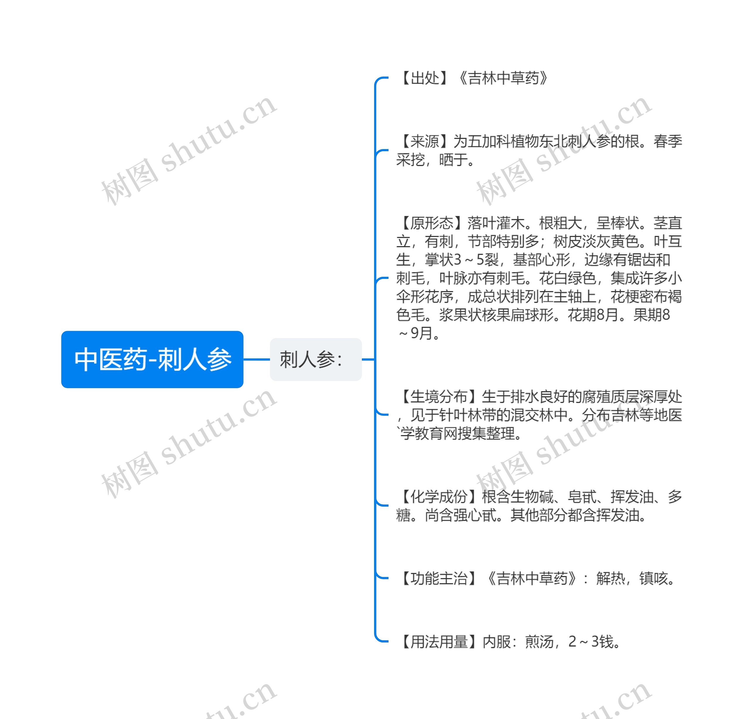 中医药-刺人参思维导图