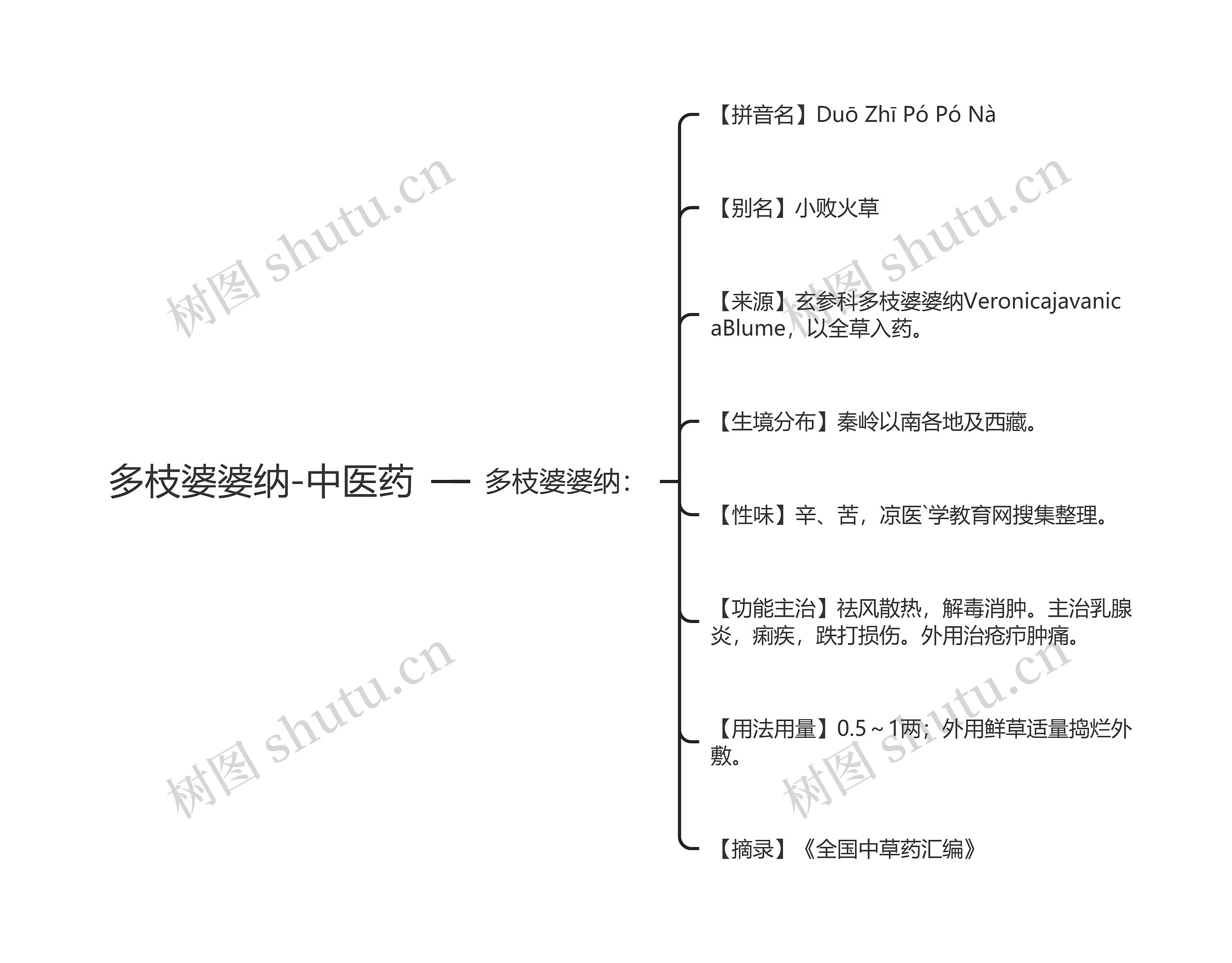 多枝婆婆纳-中医药思维导图