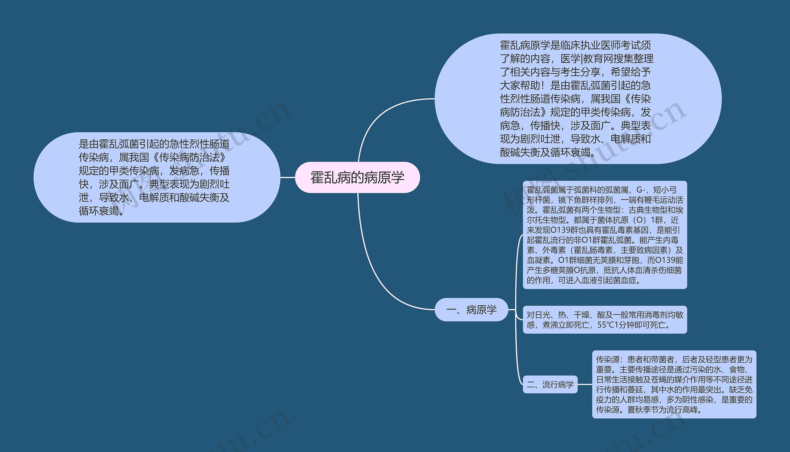 霍乱病的病原学思维导图