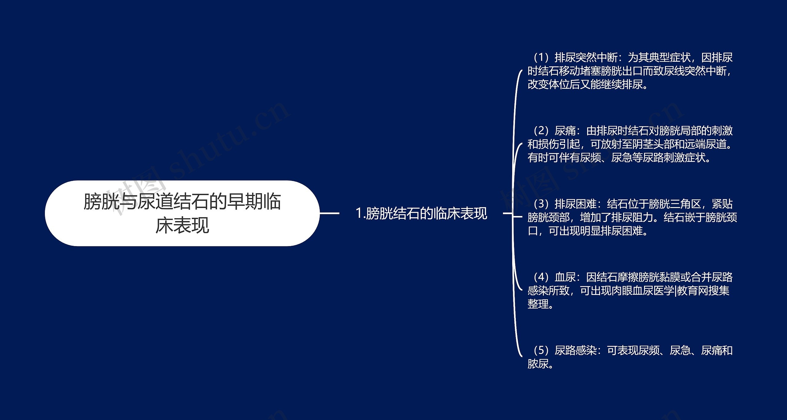 膀胱与尿道结石的早期临床表现思维导图