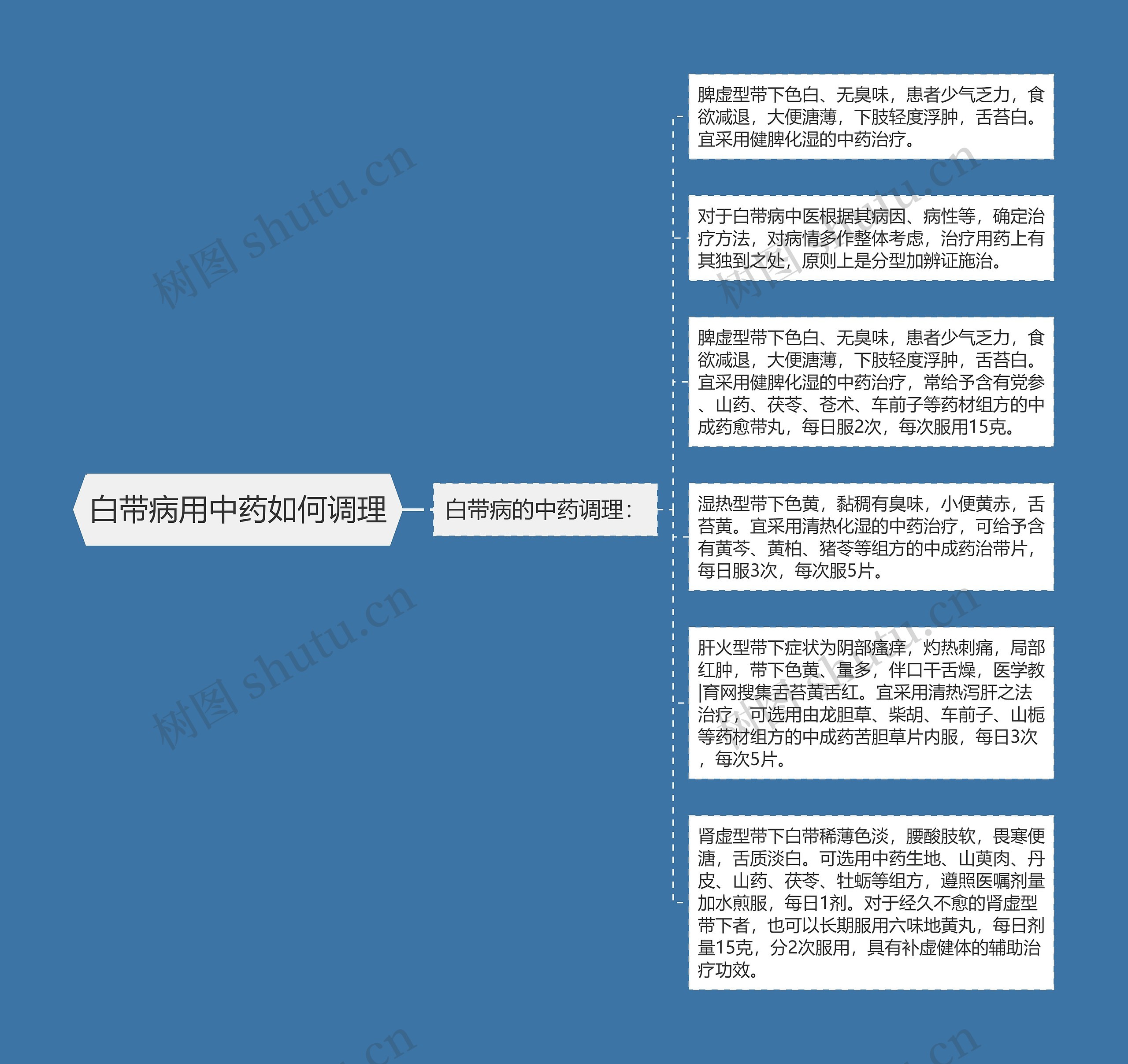 白带病用中药如何调理思维导图