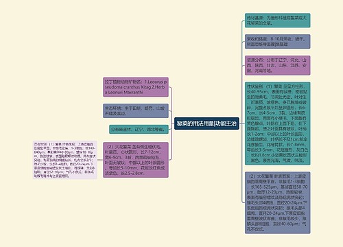 錾菜的用法用量|功能主治