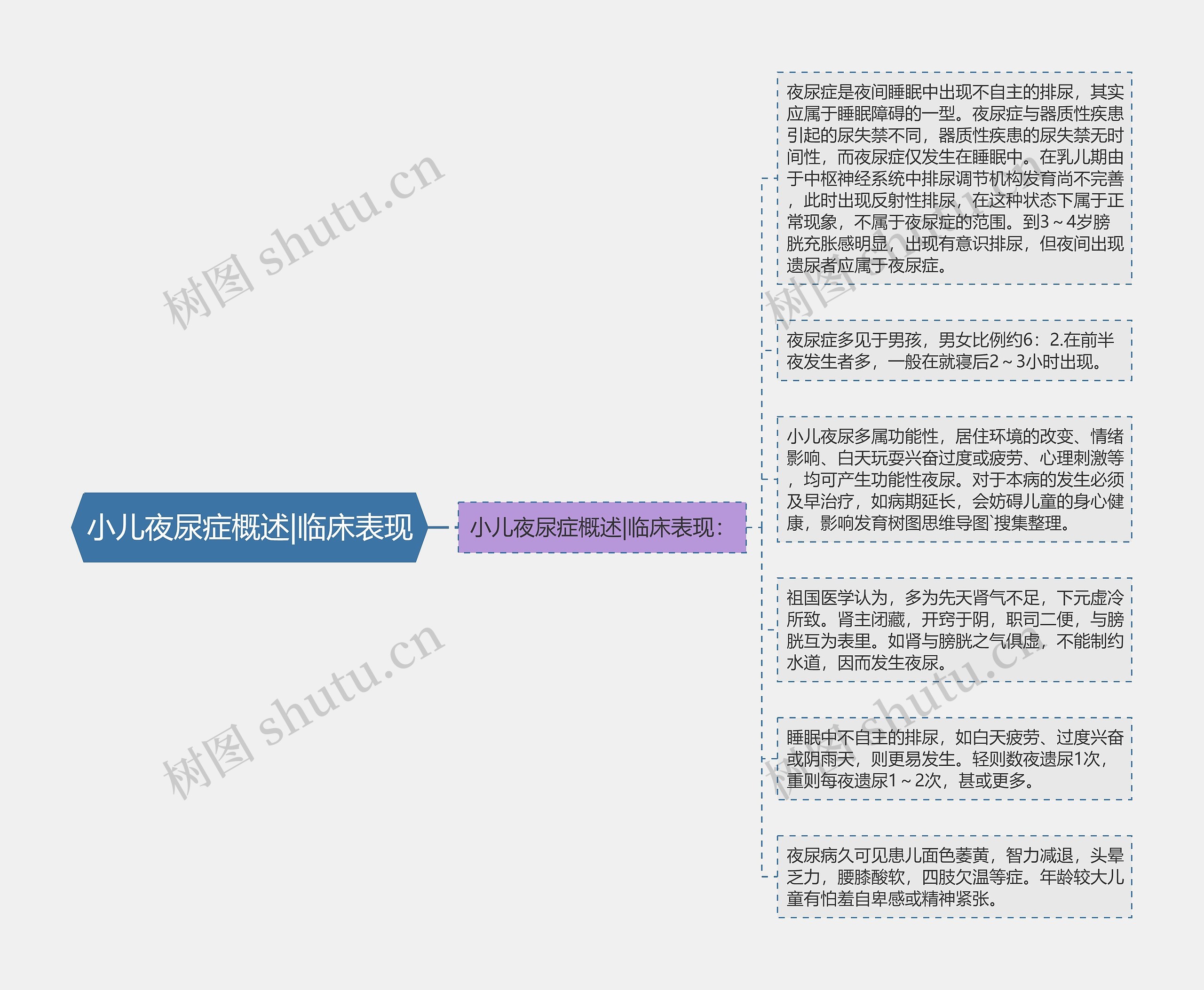 小儿夜尿症概述|临床表现思维导图