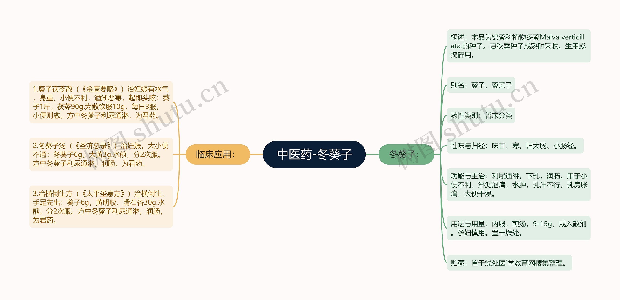 中医药-冬葵子 中医药-冬葵子