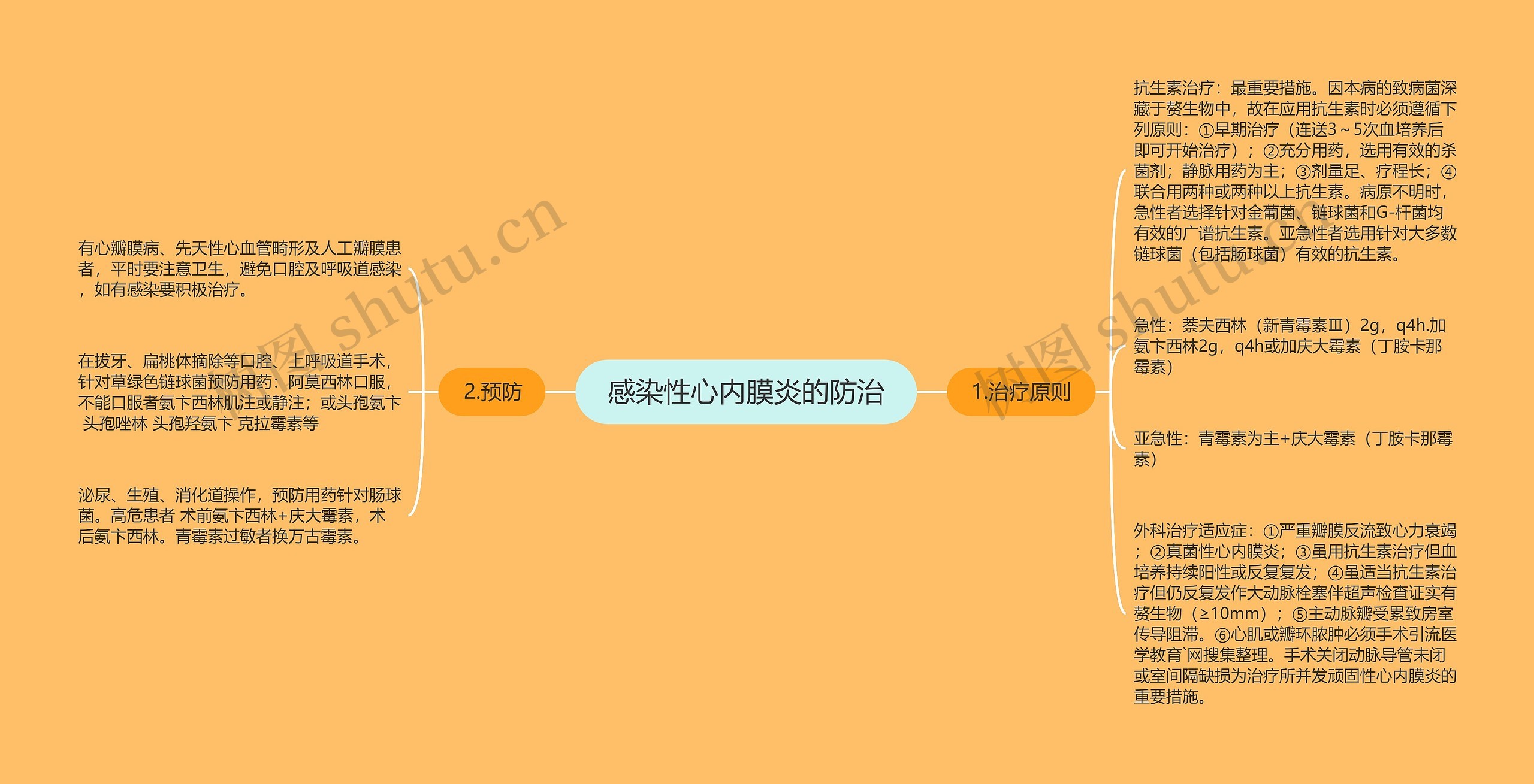 感染性心内膜炎的防治