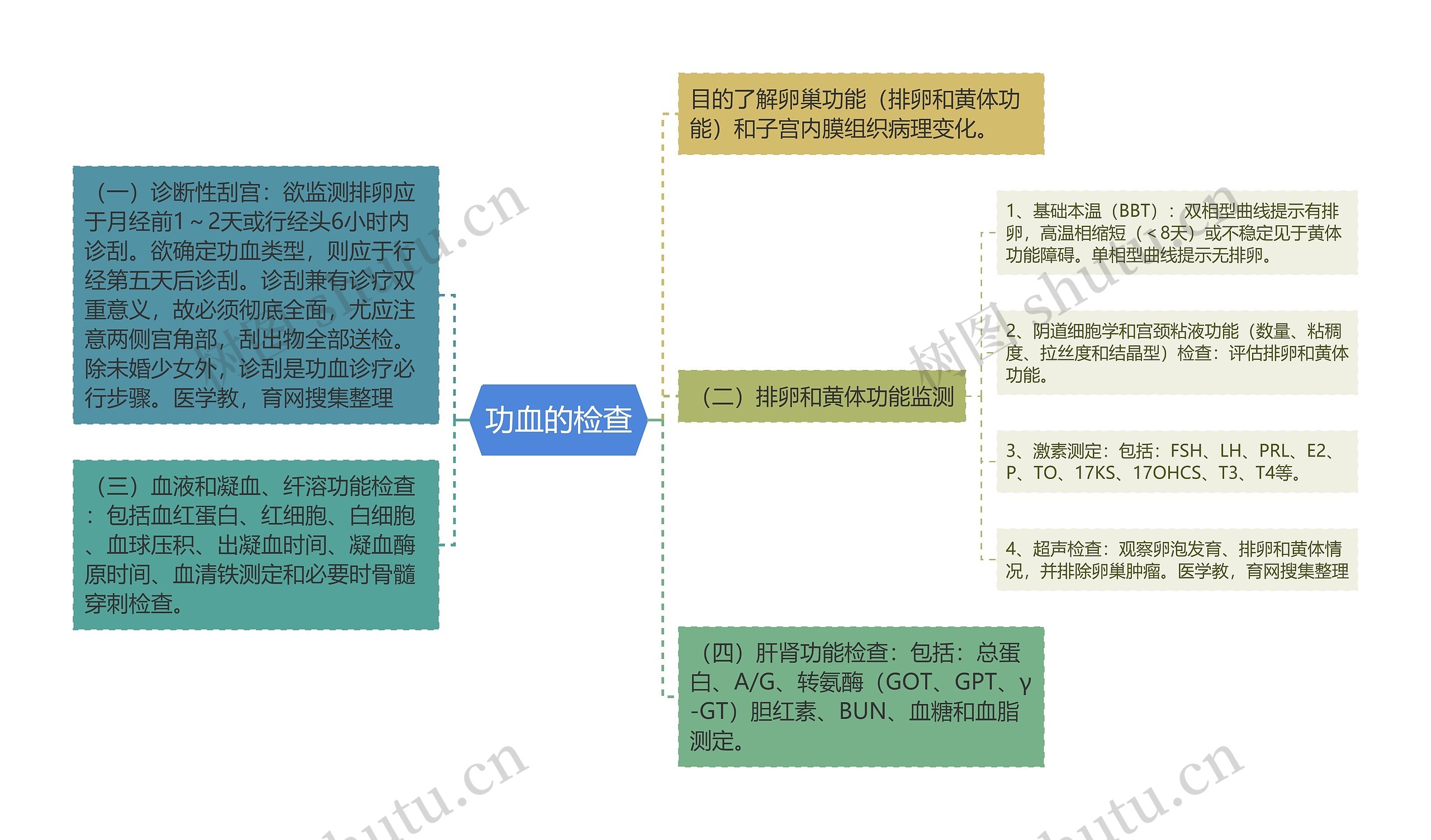 功血的检查思维导图