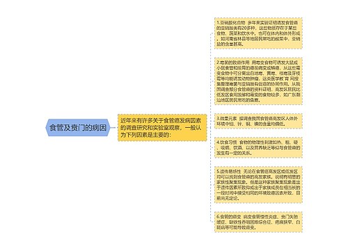 食管及贲门的病因