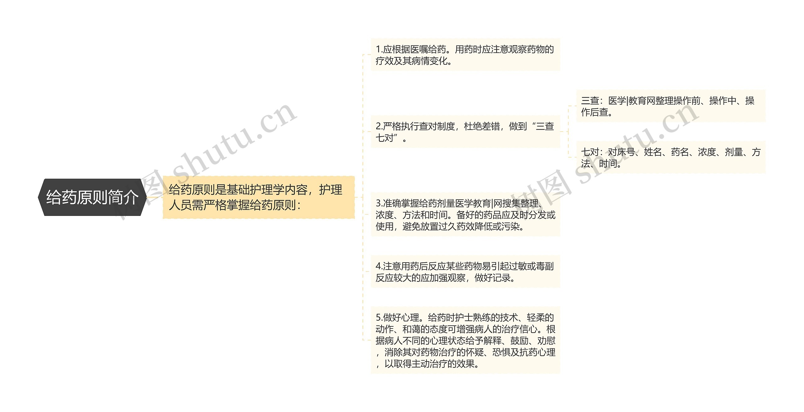 给药原则简介思维导图