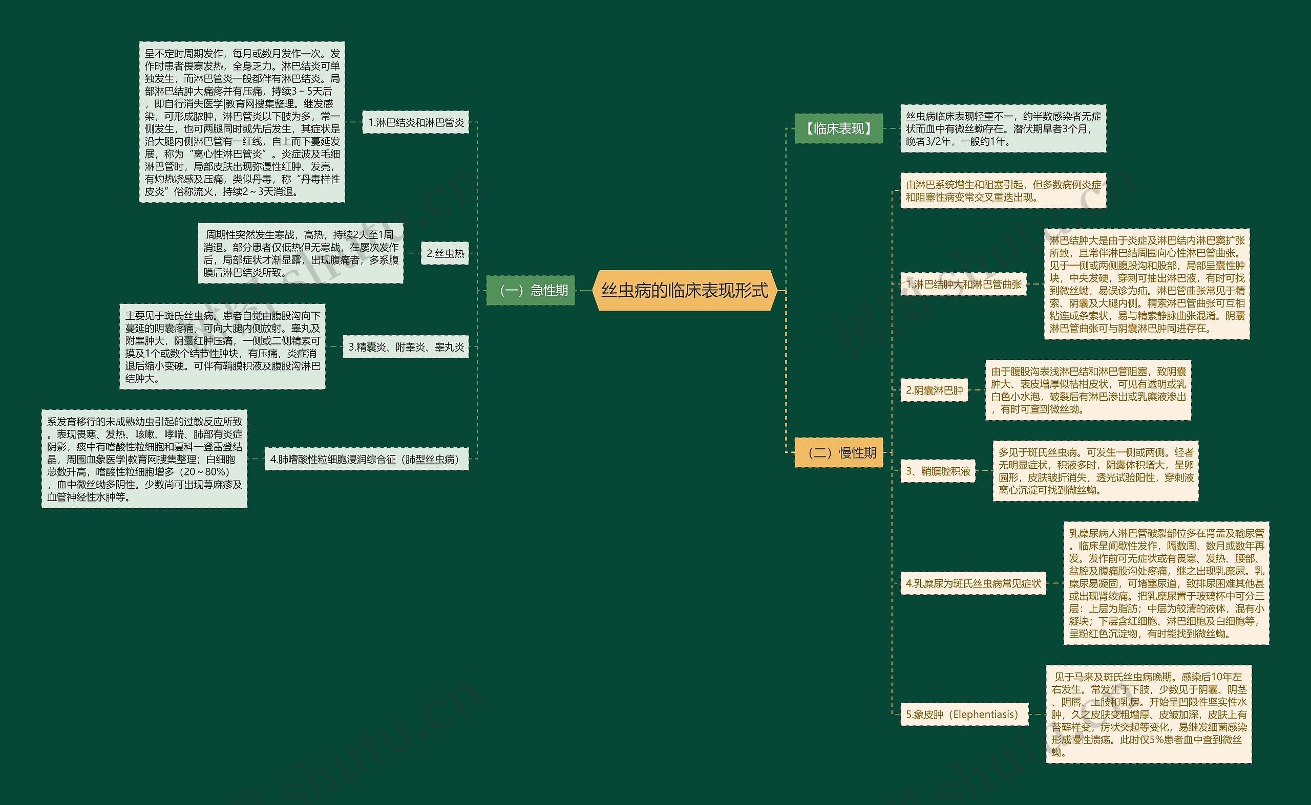 丝虫病的临床表现形式思维导图