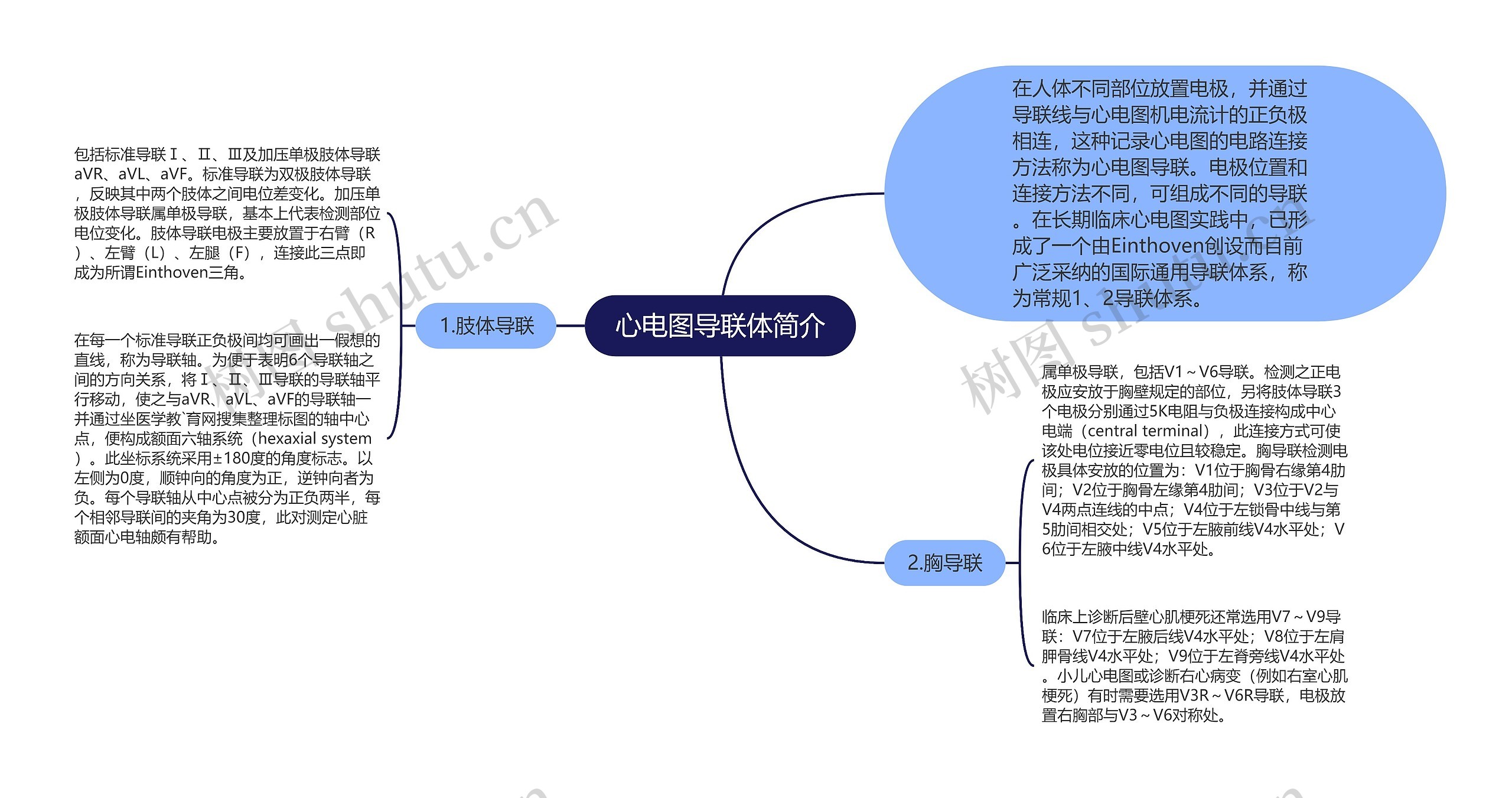 心电图导联体简介思维导图