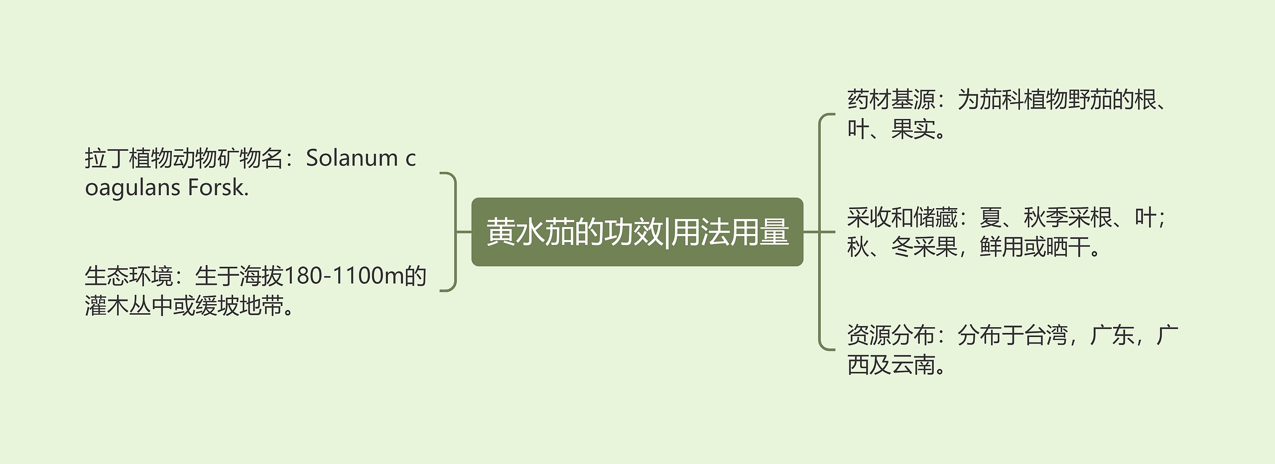 黄水茄的功效|用法用量思维导图