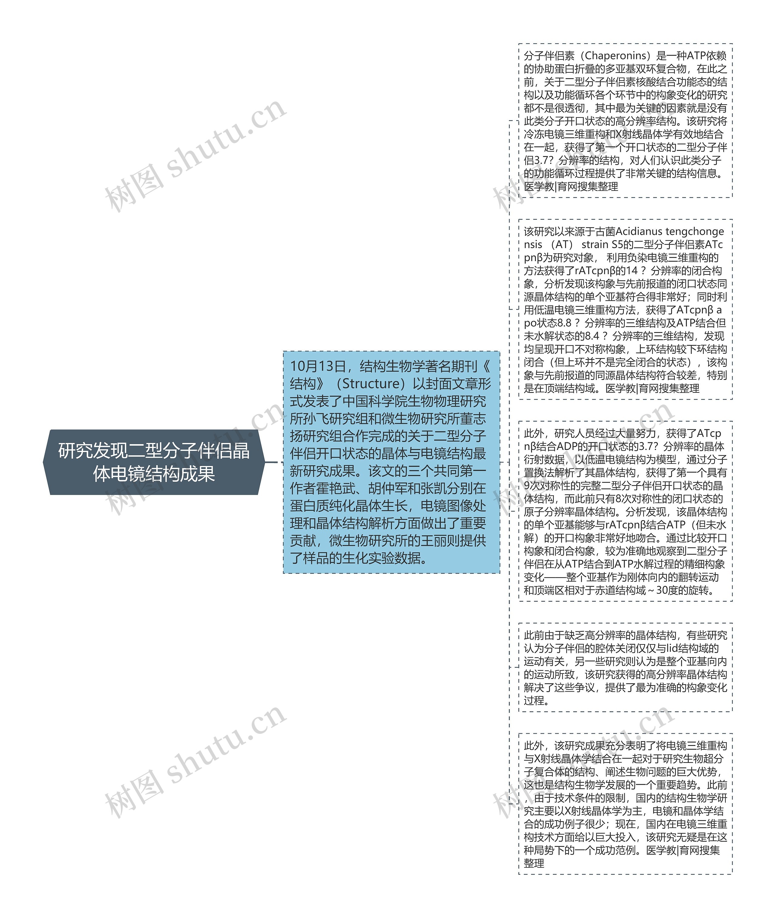 研究发现二型分子伴侣晶体电镜结构成果