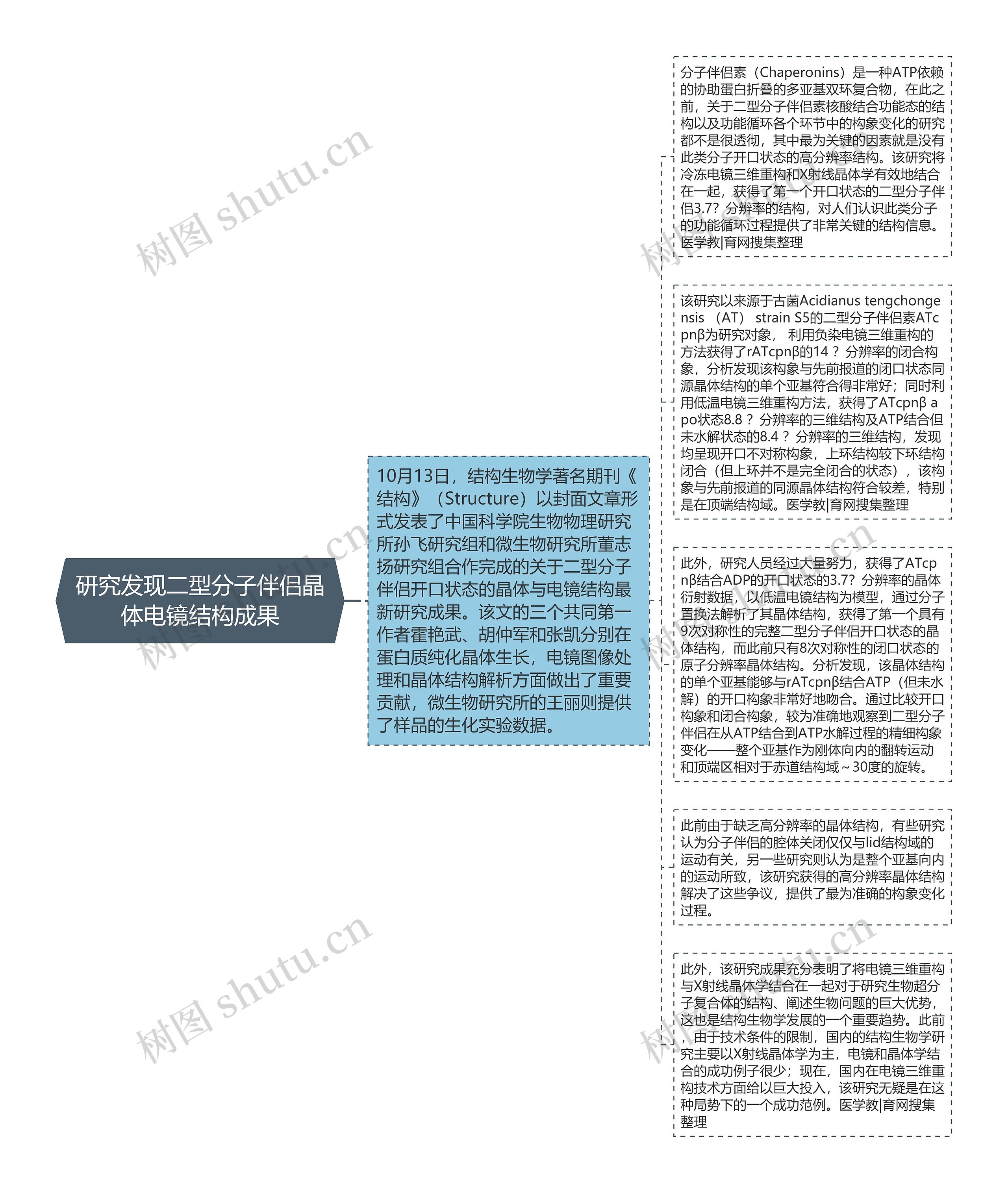 研究发现二型分子伴侣晶体电镜结构成果思维导图