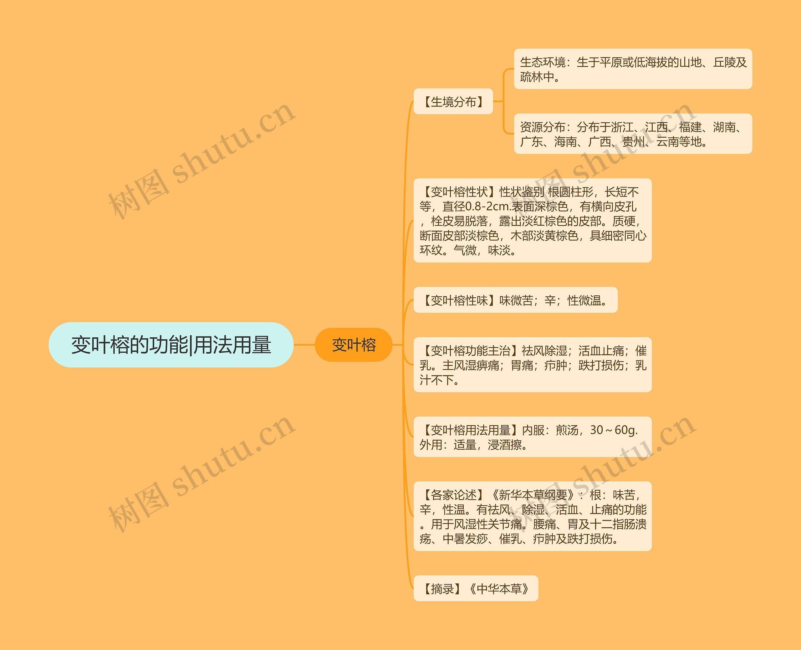 变叶榕的功能|用法用量